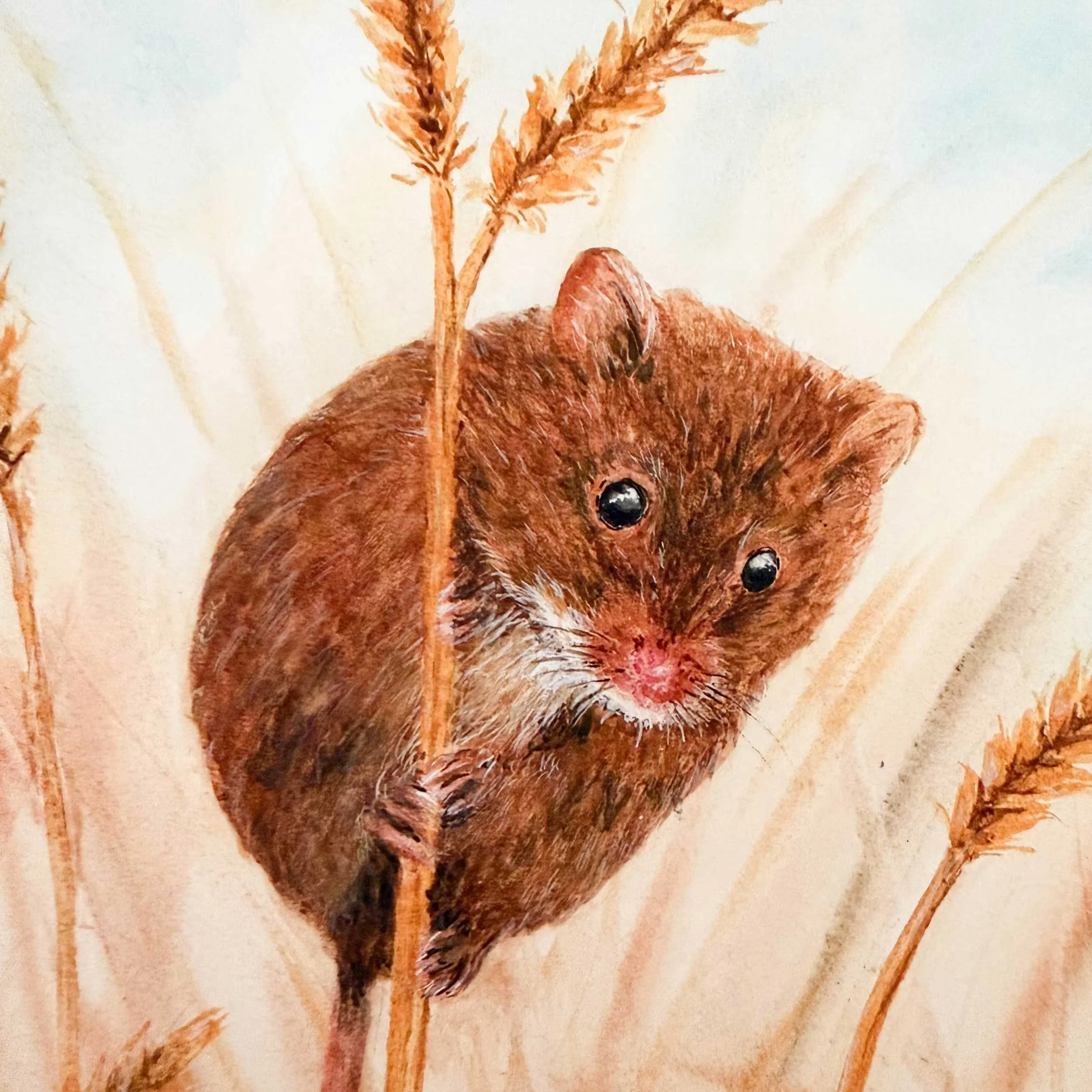 autumn-mouse-art-print_6.jpg