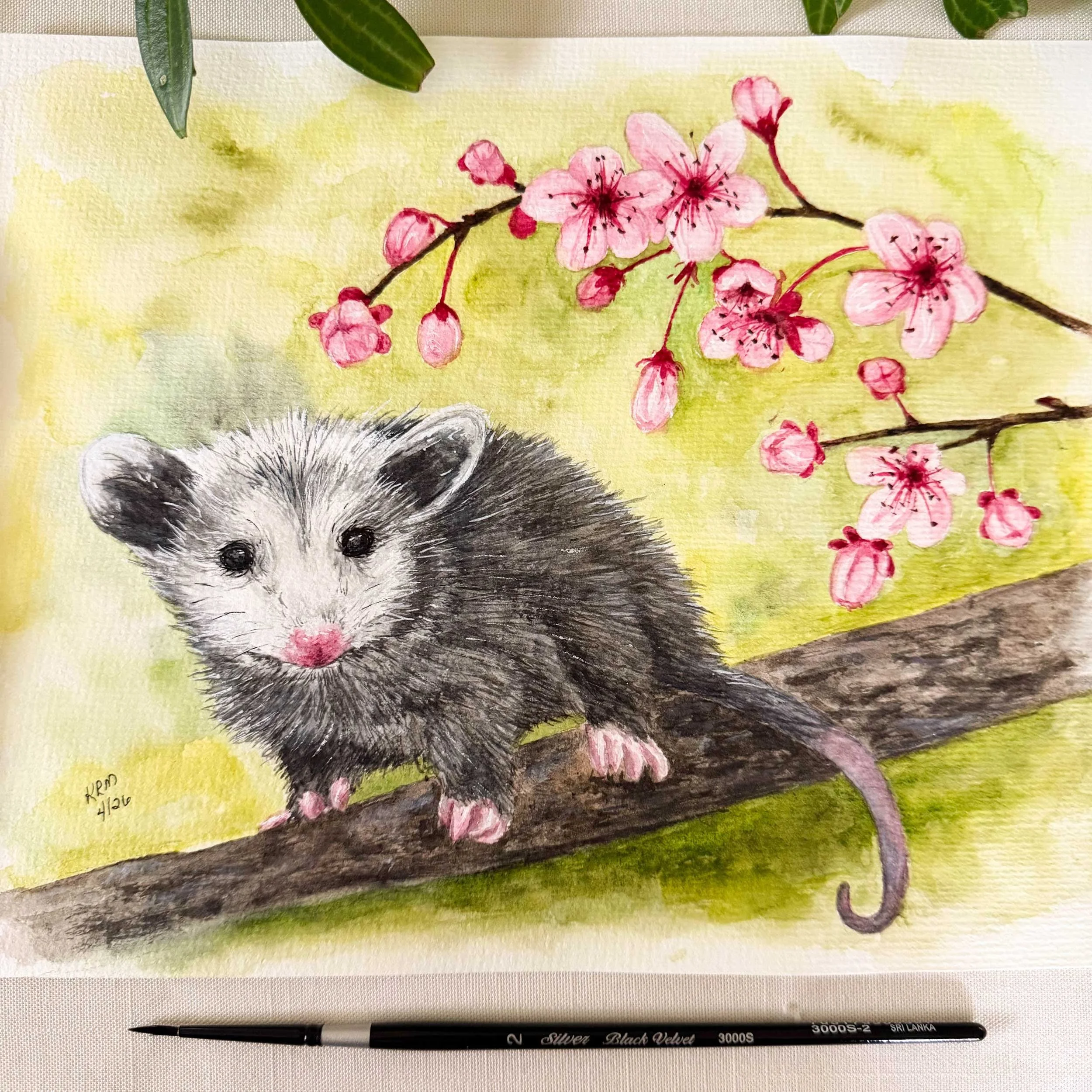 Opossom-CherryBlossoms-painting_2.jpg