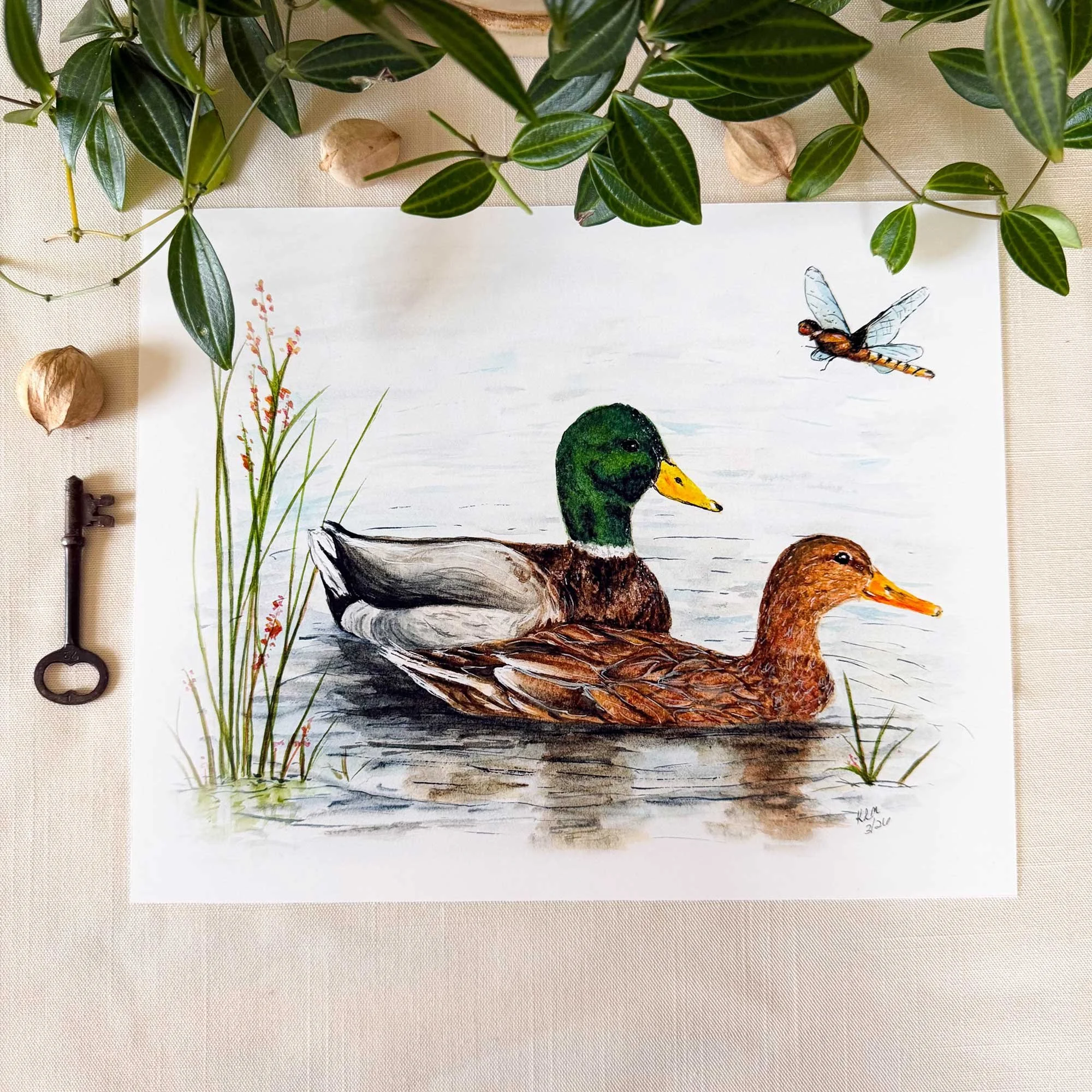Mallard-couple-art-print_1.jpg