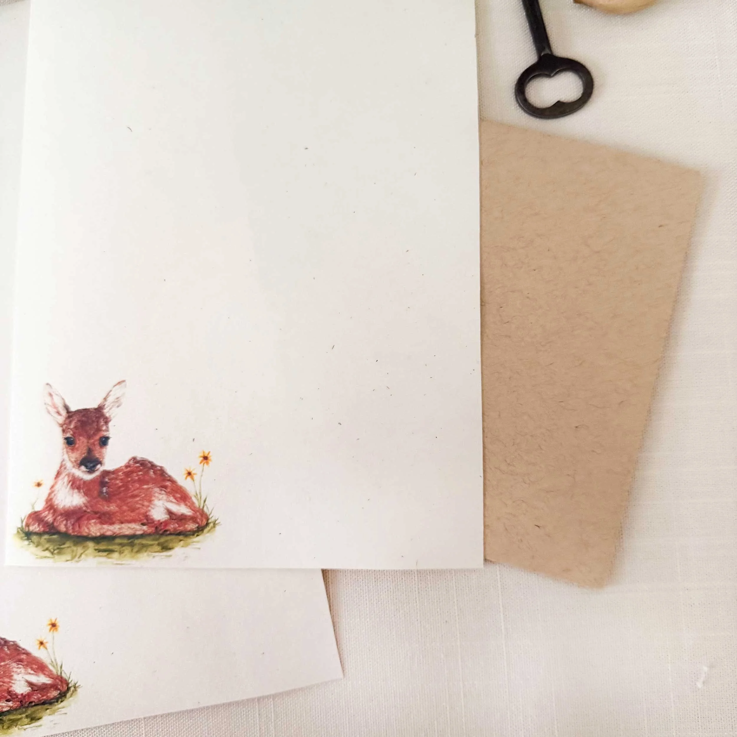 young-fawn-laying-down_letter-writing_2.jpg