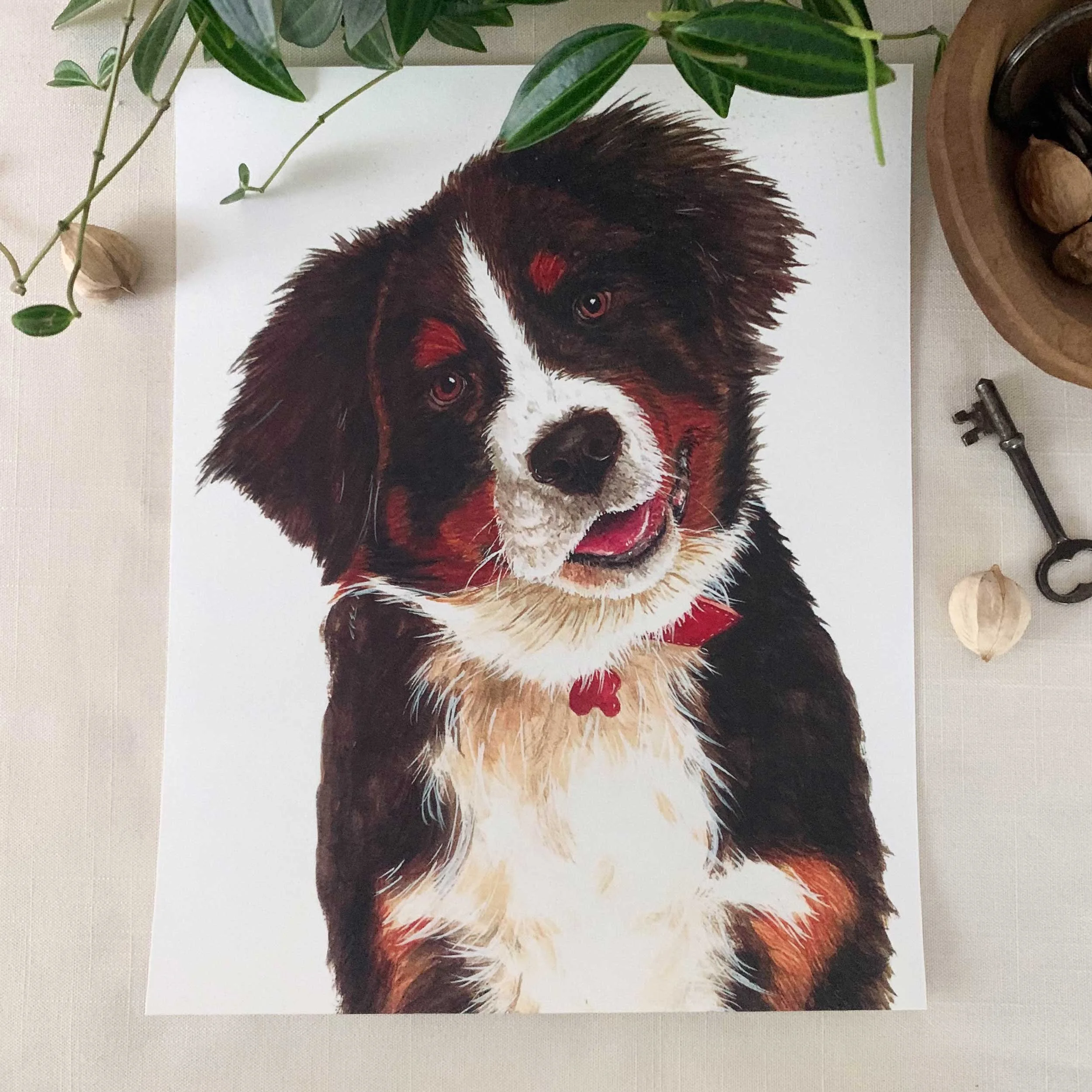 Bernese Mountain Dog Art Print
