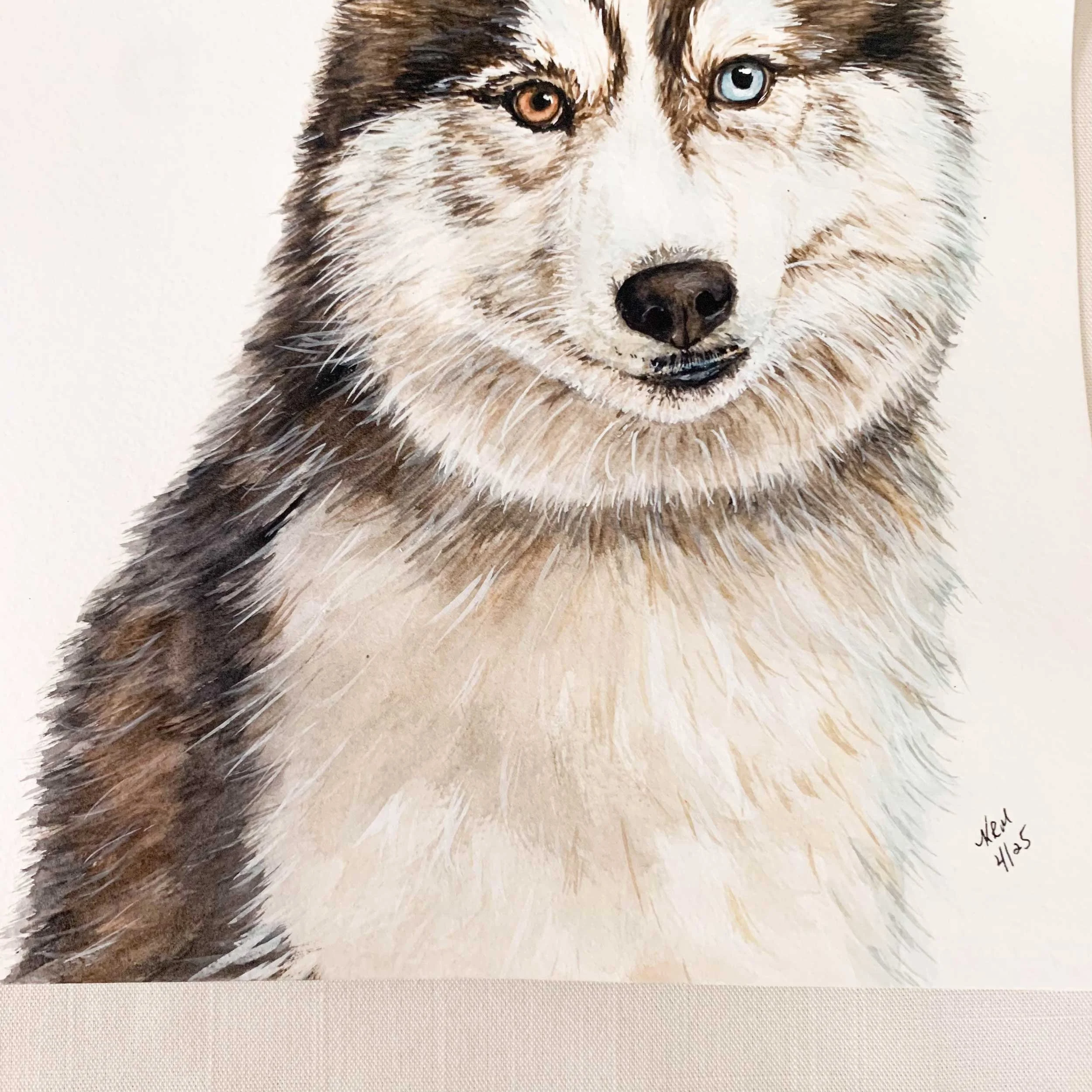 husky-blue-brown-eye-painting_4.jpg