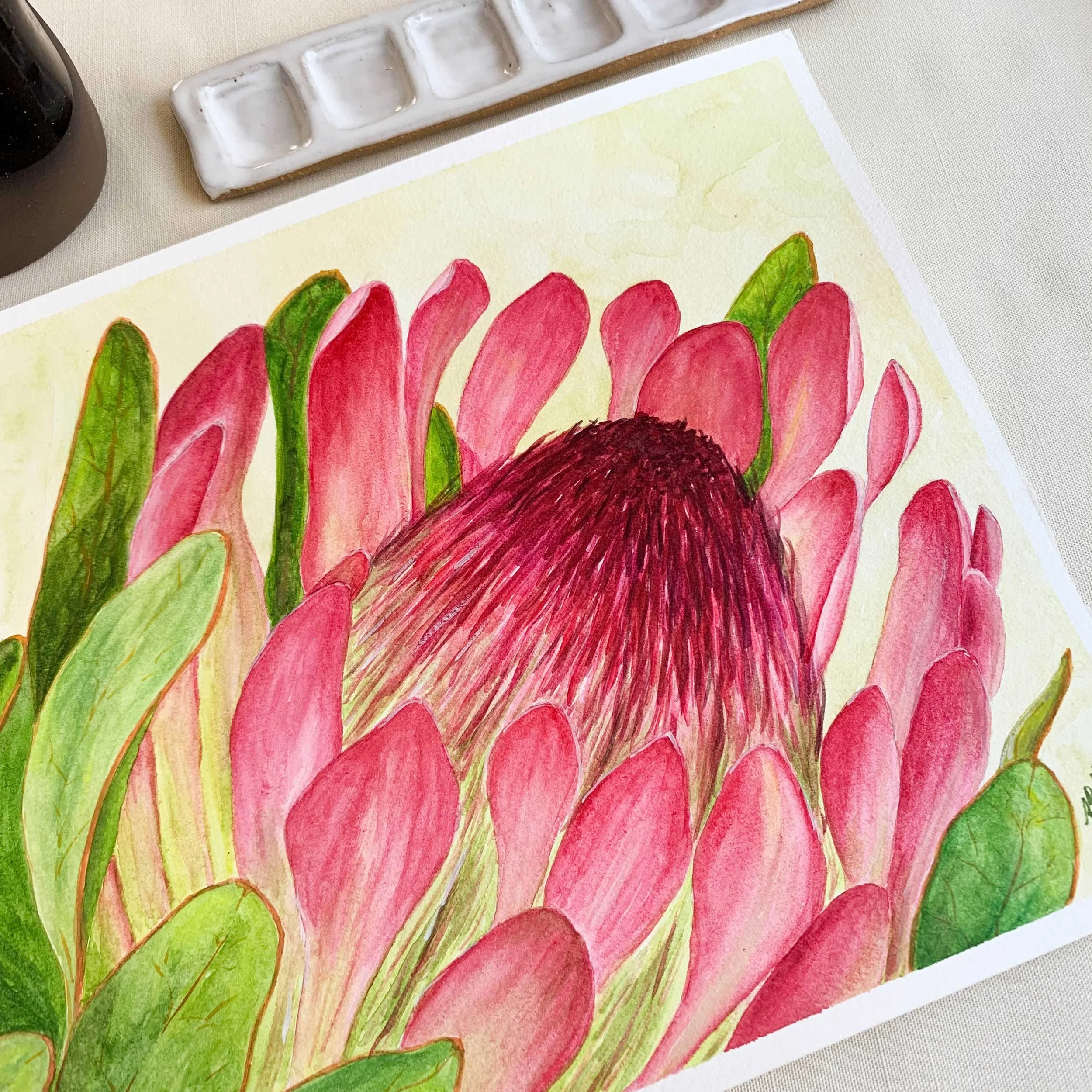 Sugarbush Flower Watercolor Painting Close-Up