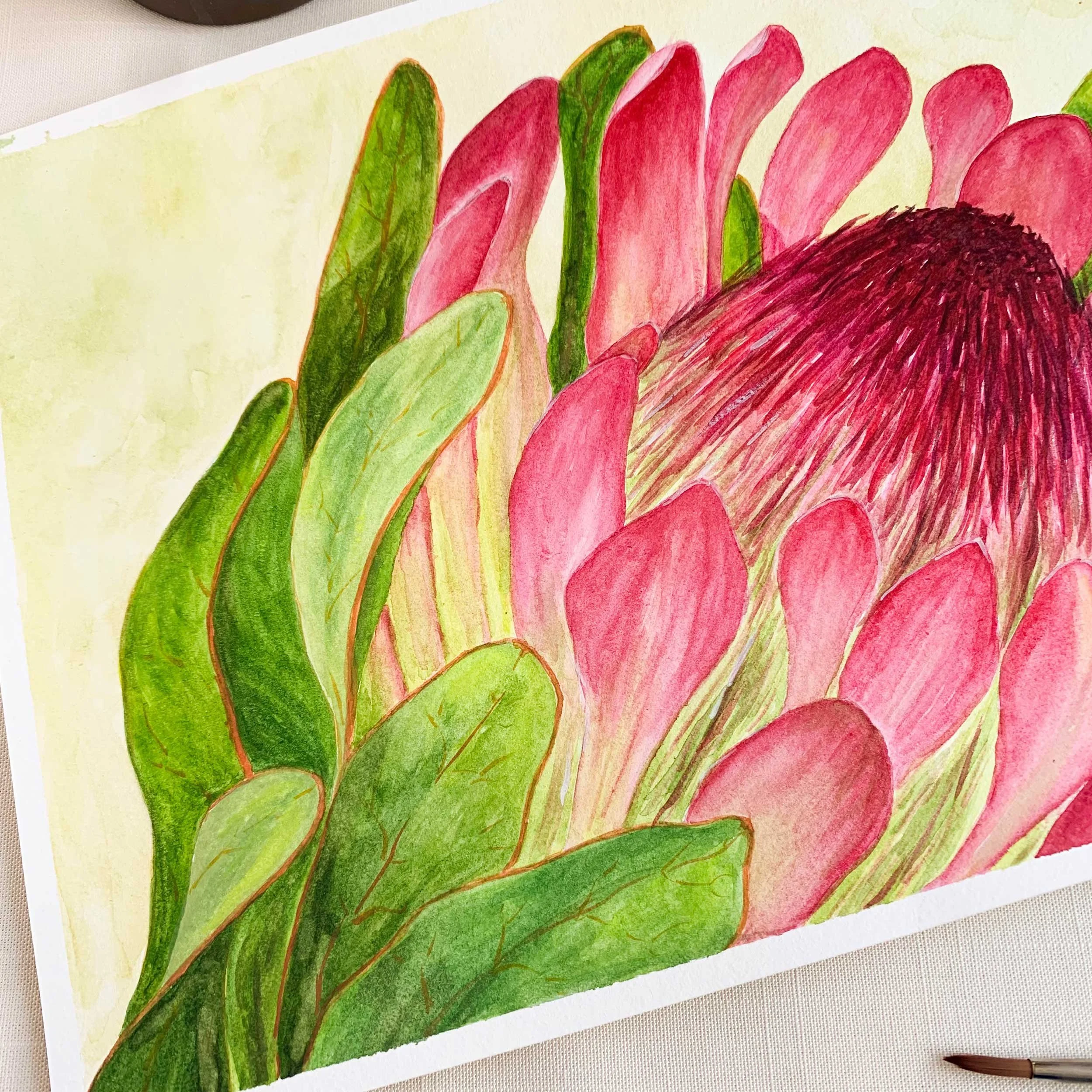 Sugarbush Flower Watercolor Painting Close-Up