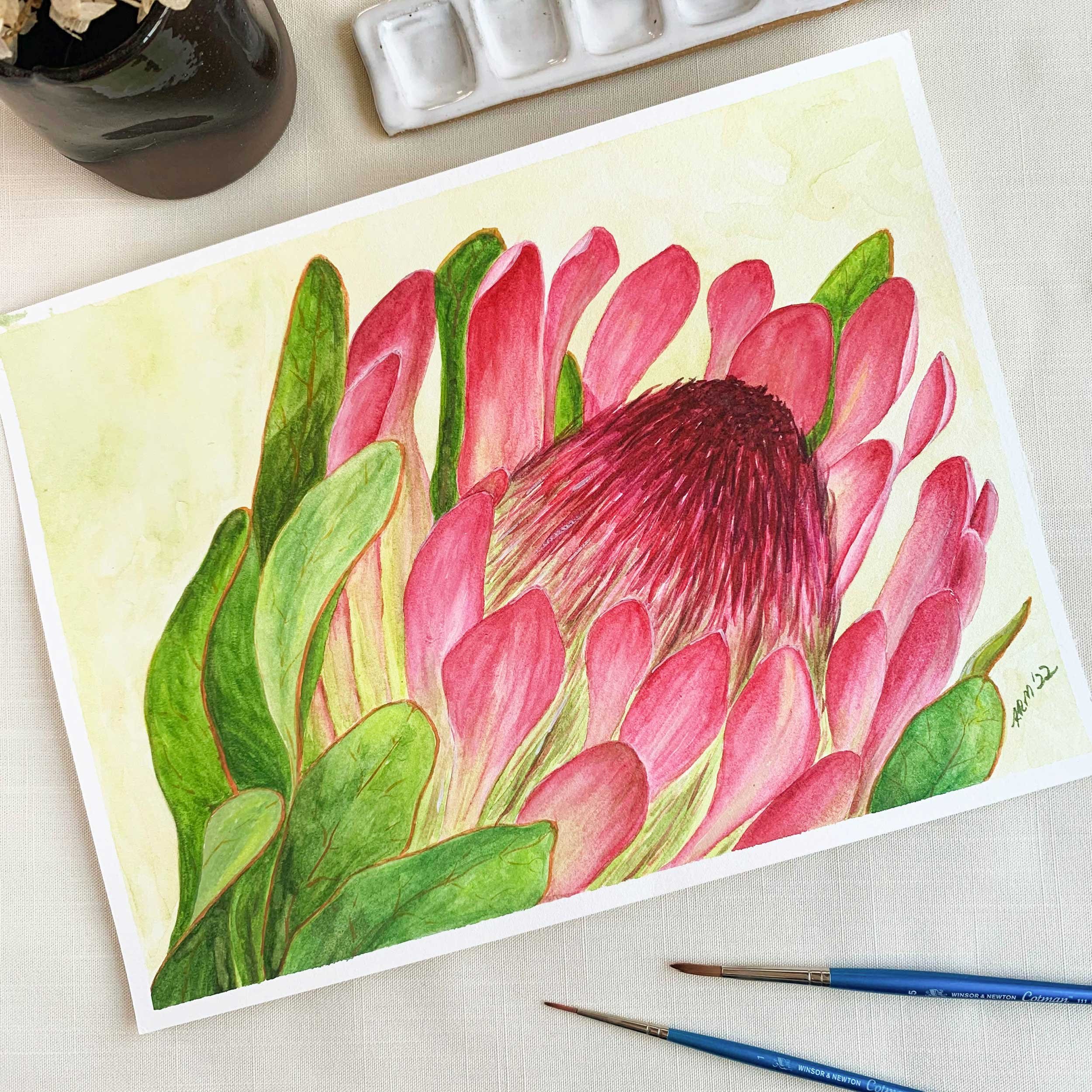 Sugarbush Flower Watercolor Painting