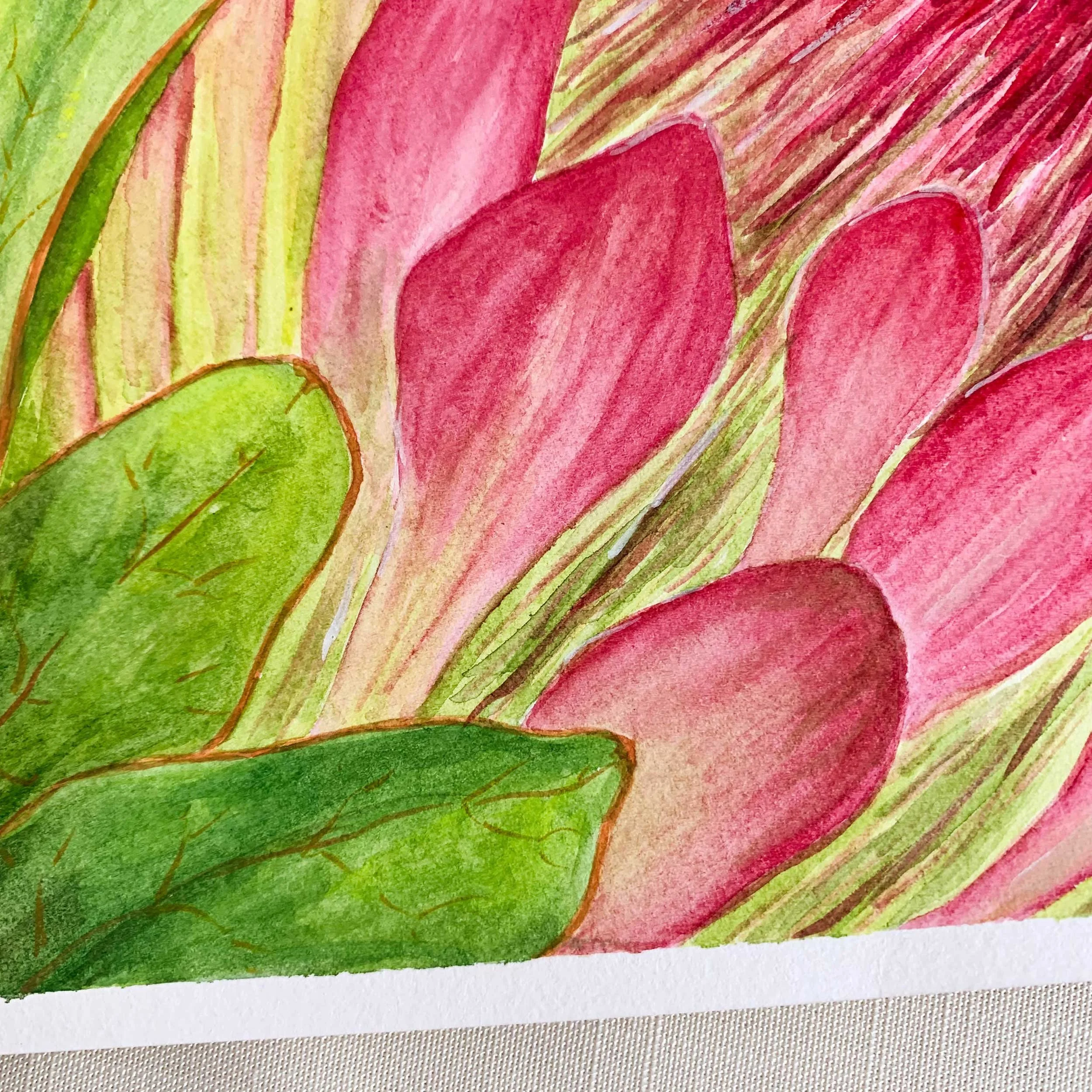 Sugarbush Flower Watercolor Painting Close-Up