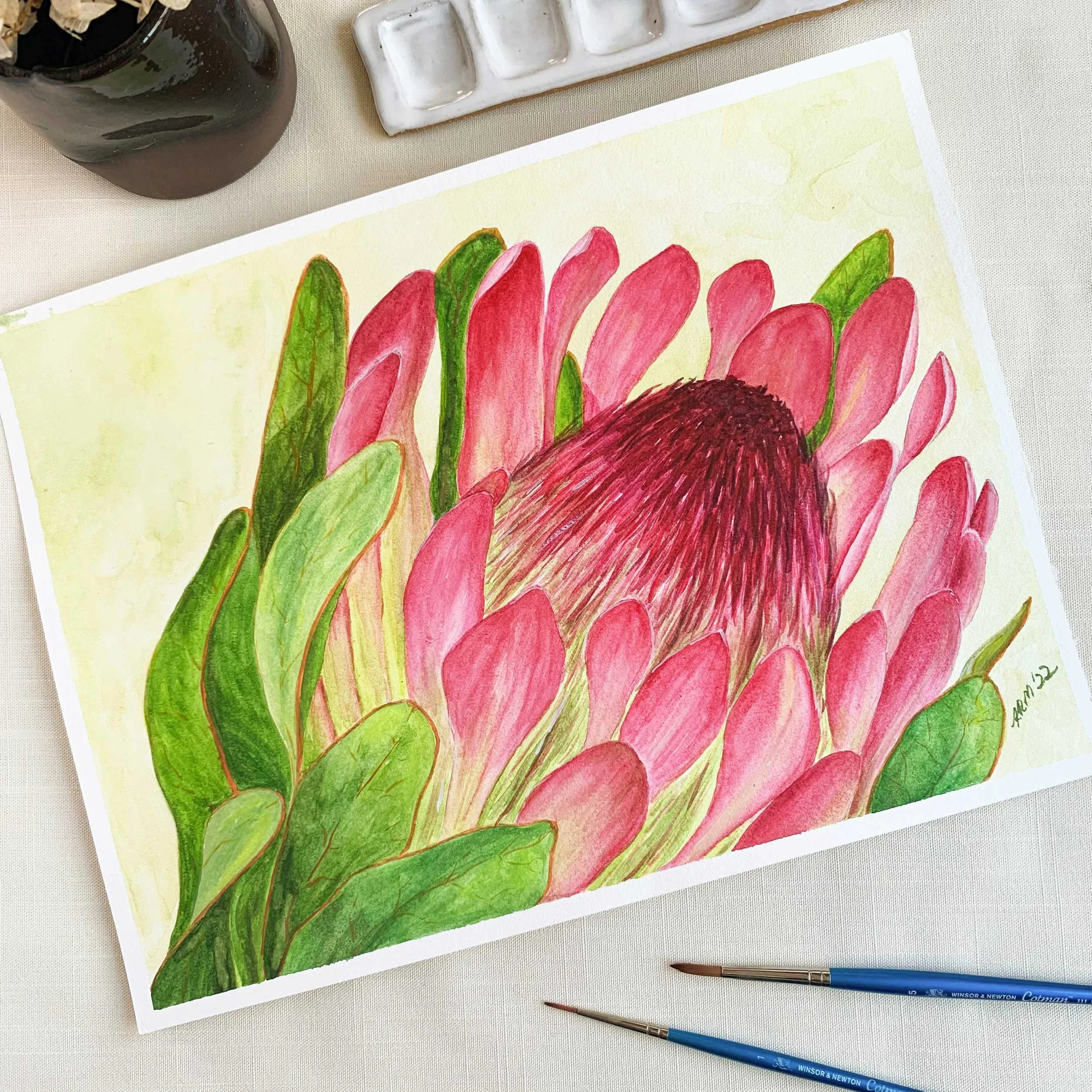 Sugarbush Flower Watercolor