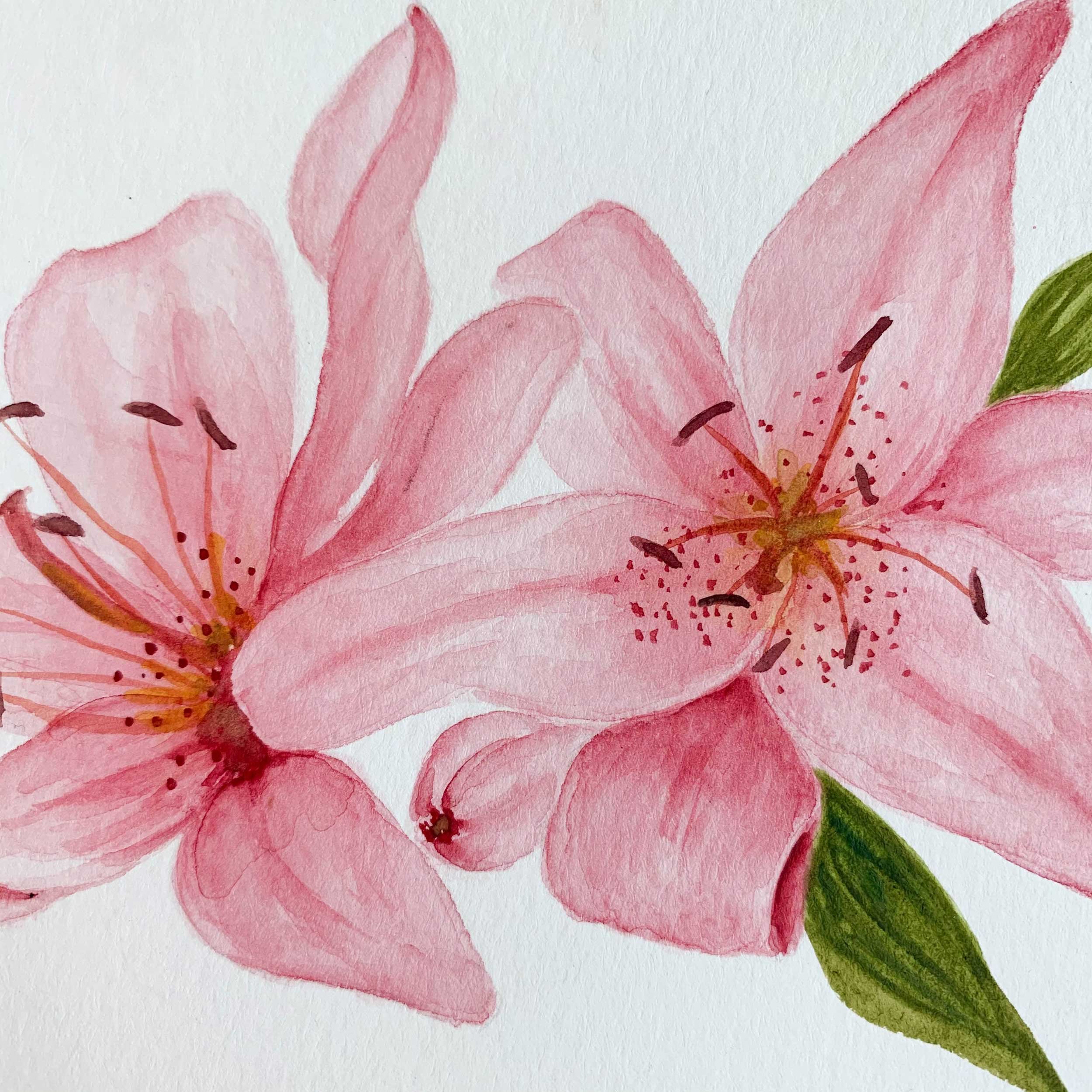 Pink Lilies Original Original Watercolor House Warming Gift