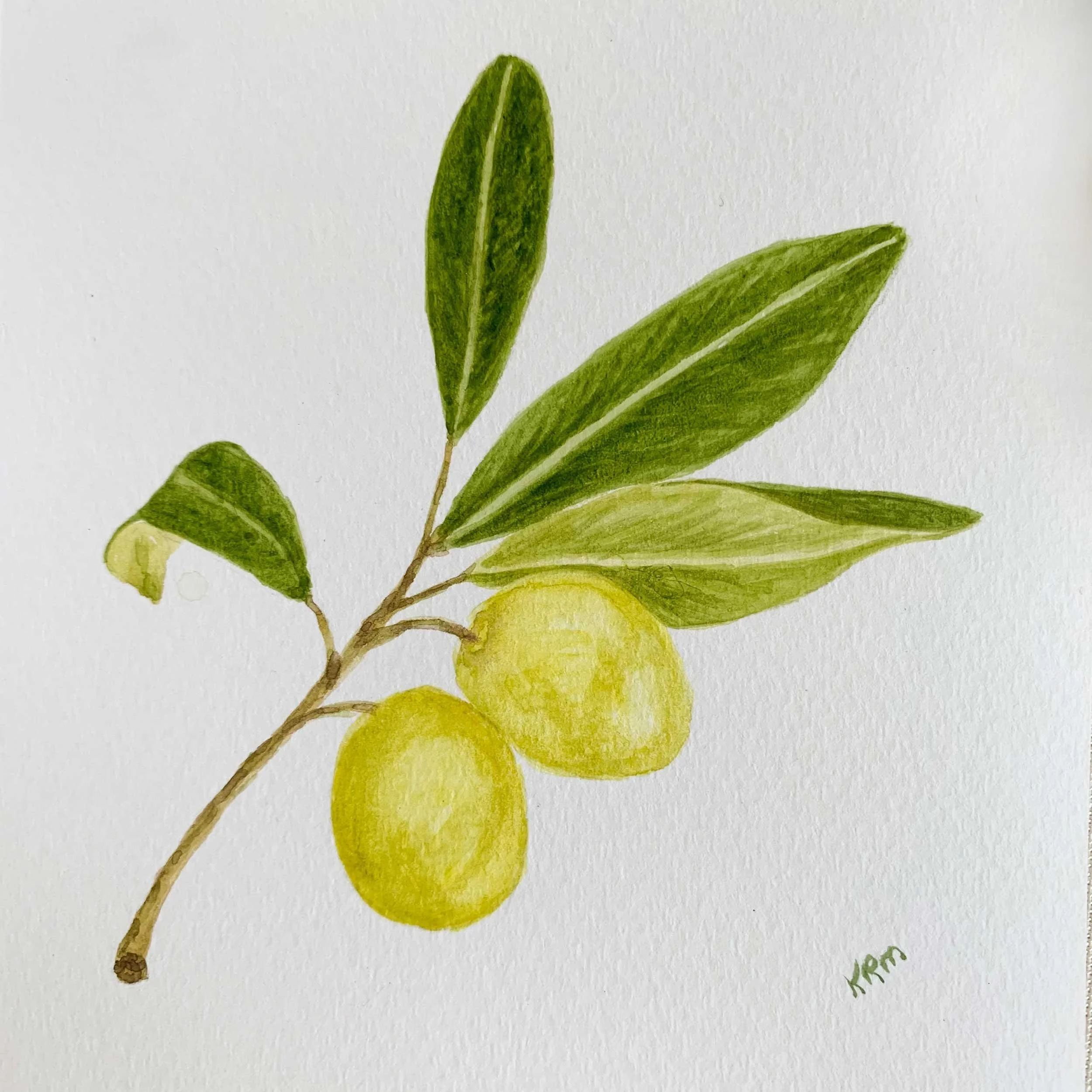 Olive Branch Mini Original Watercolors Leaving Room Decor