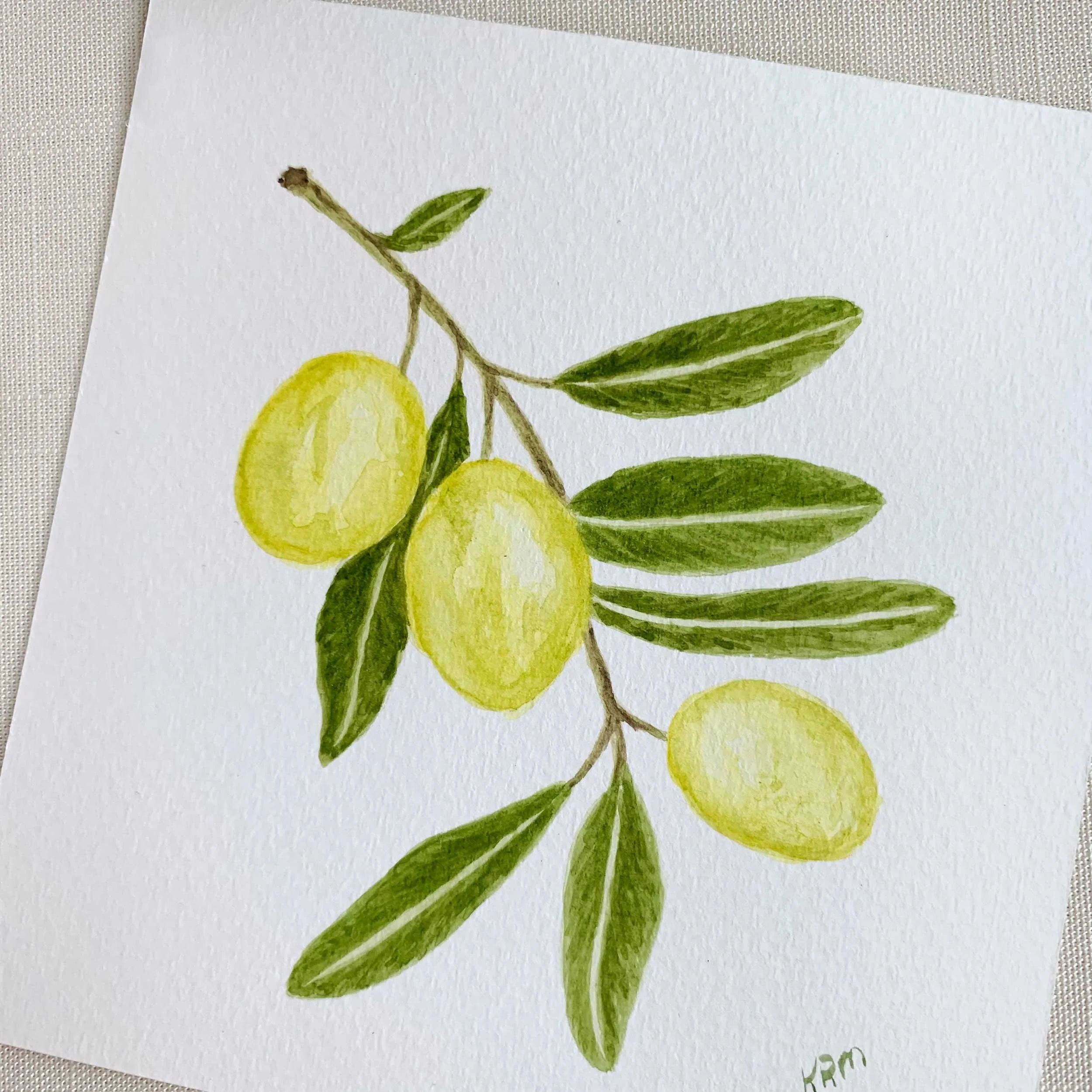 Olive Branch Mini Original Watercolors Painting Set