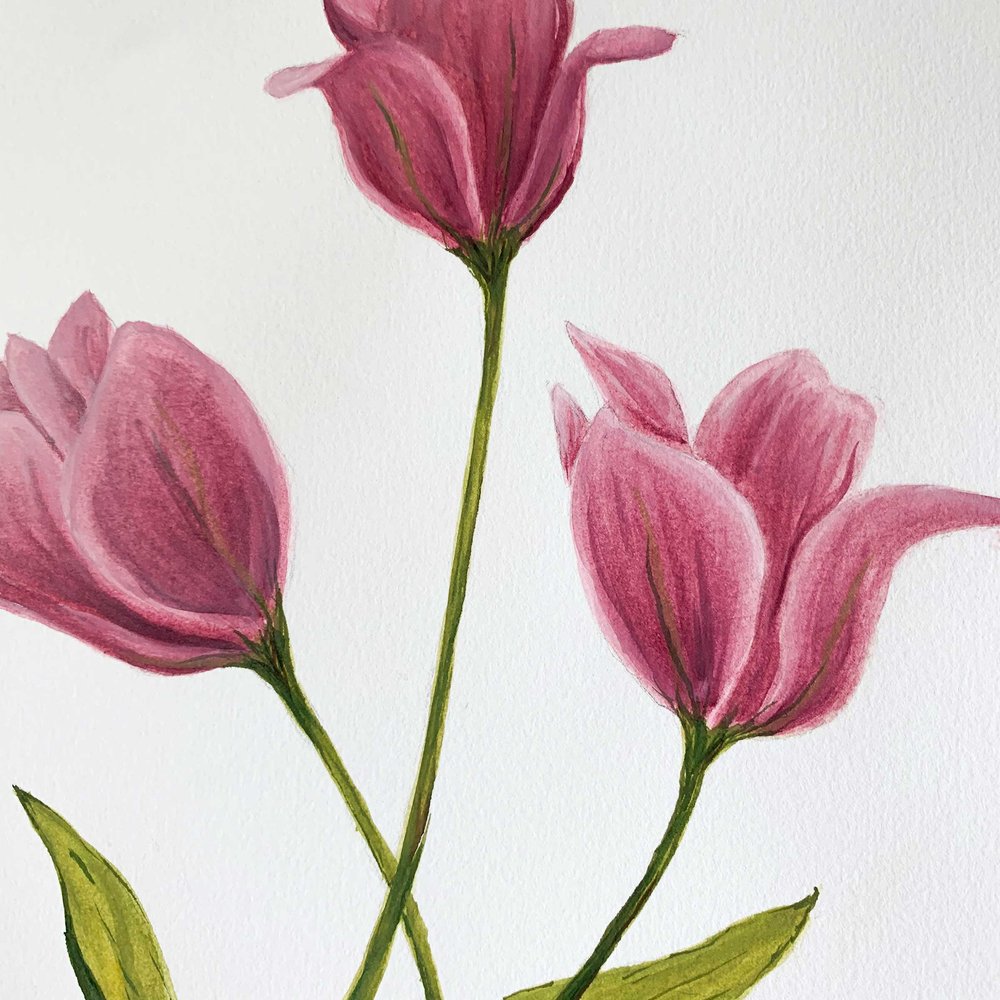 Tulips: Original Watercolor and PRINTS!