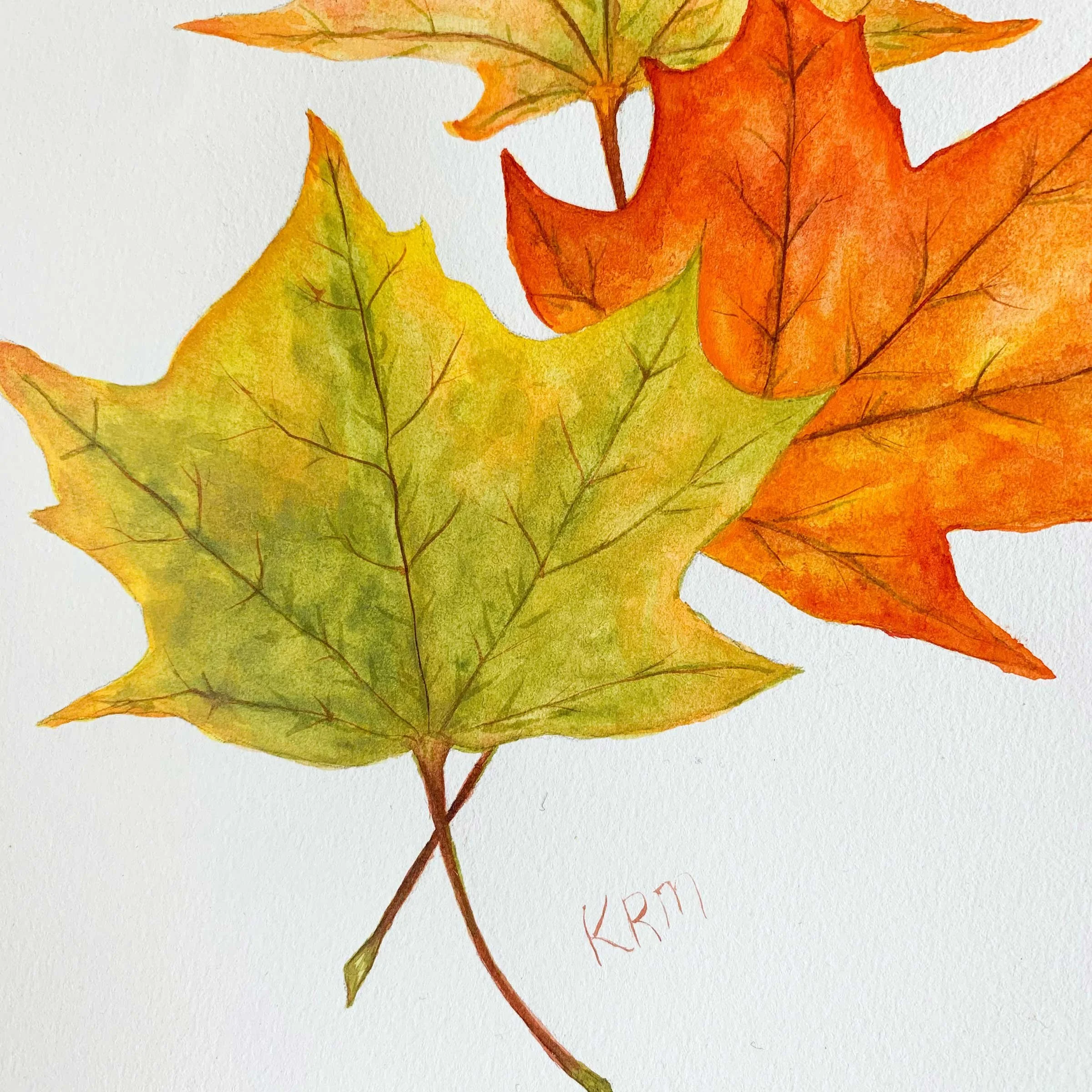 Autumn Maple Leaves Original Watercolor Holiday Gift