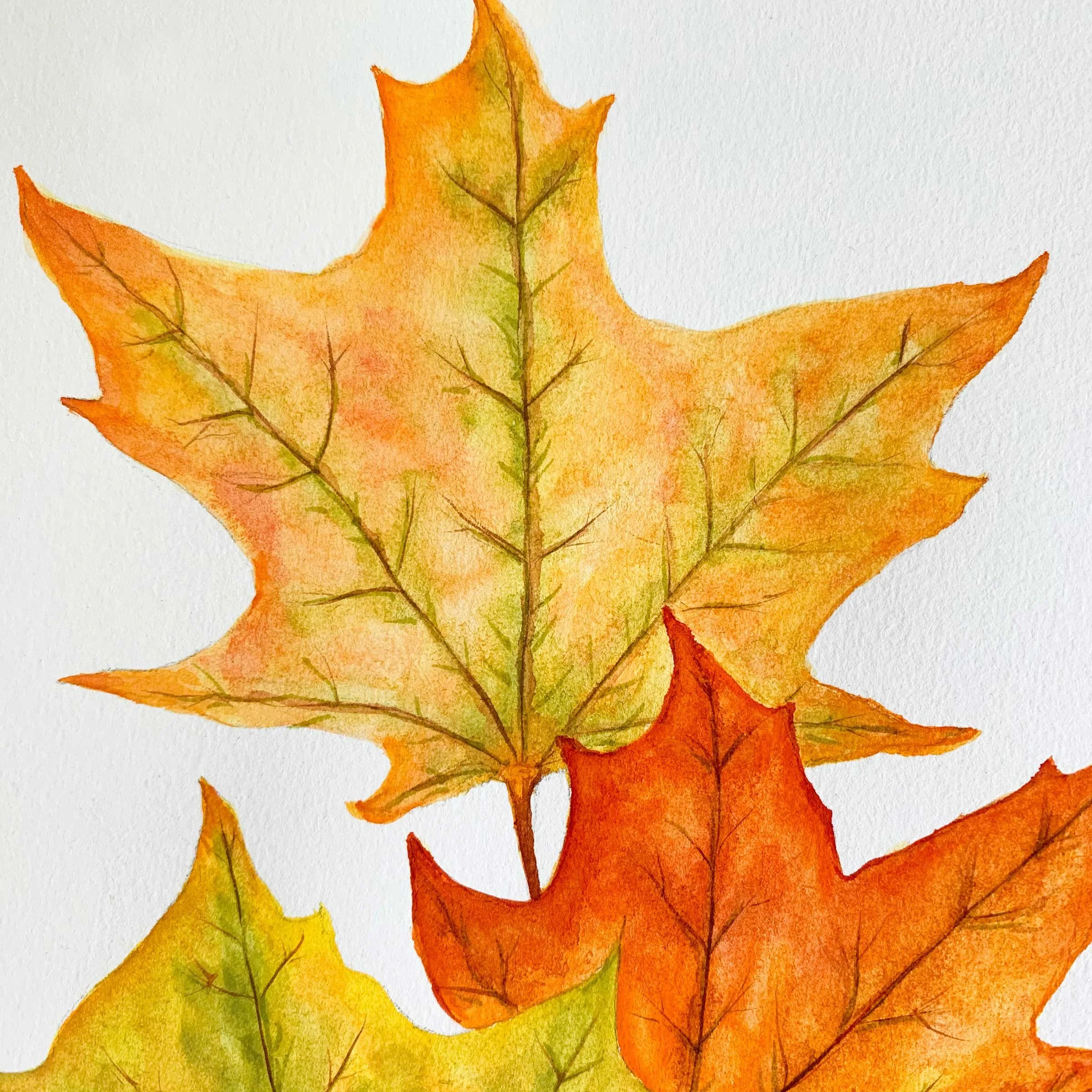 Autumn Maple Leaves Original Watercolor