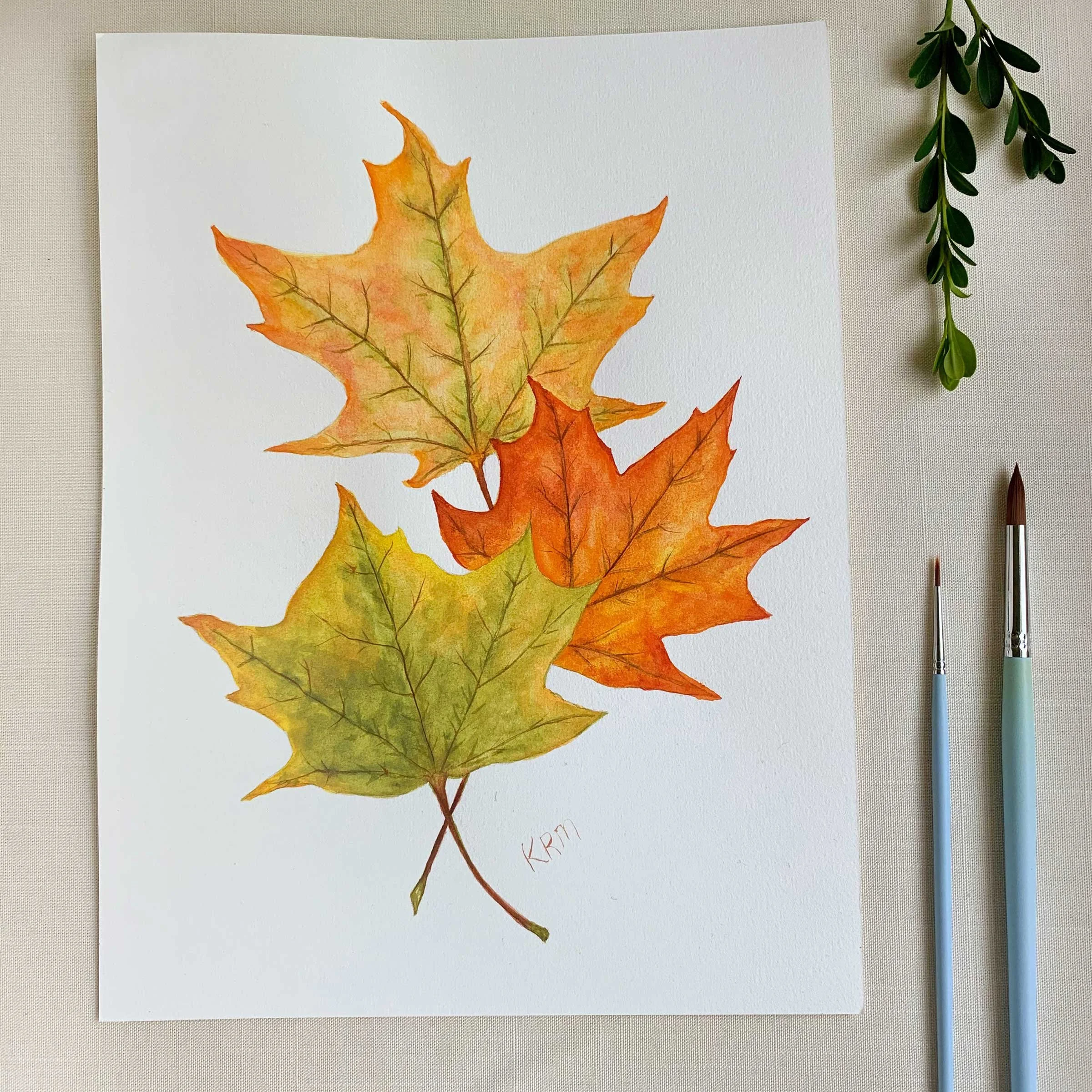 Autumn Maple Leaves Original Watercolor