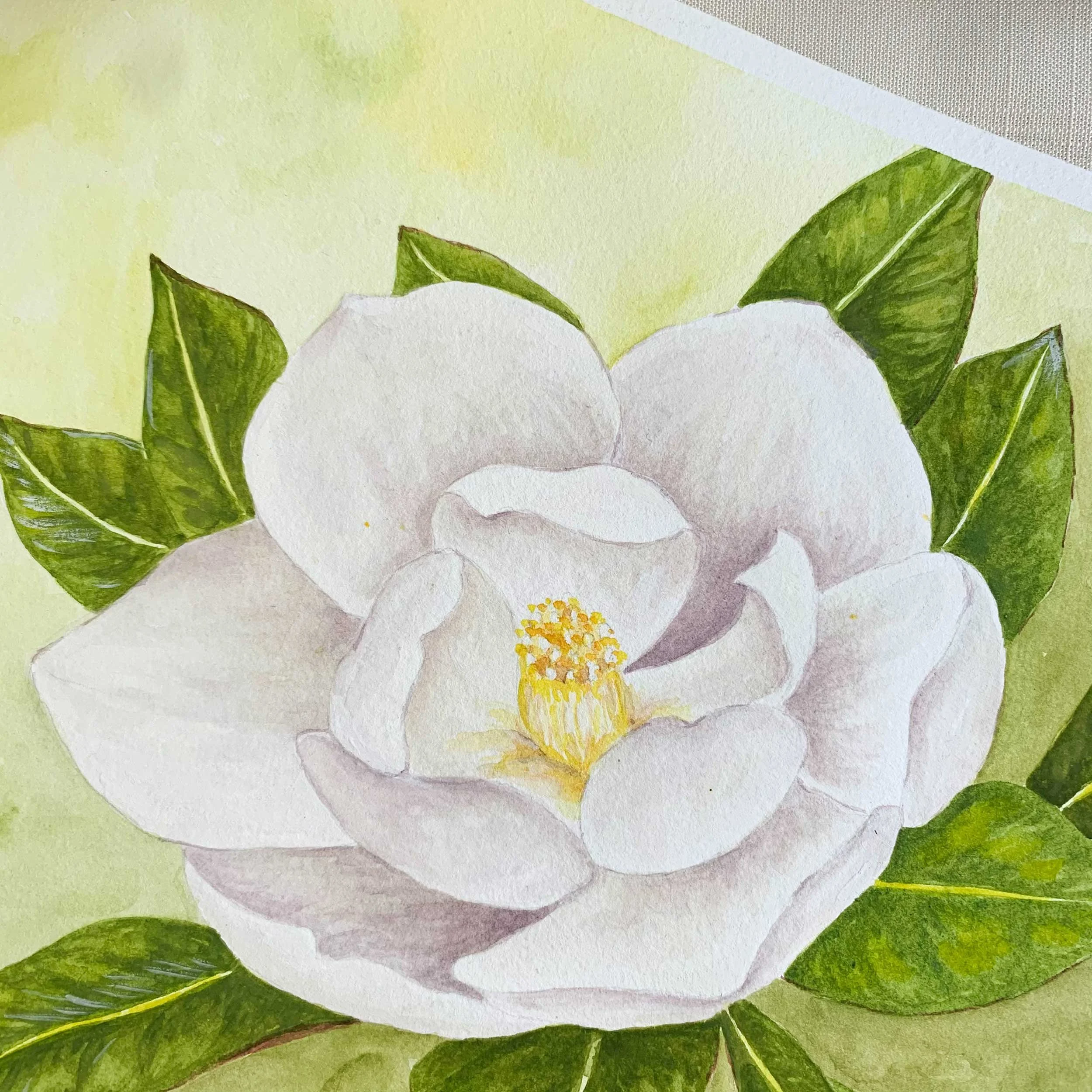 White Magnolia Flower Original Watercolor Painting Close-Up