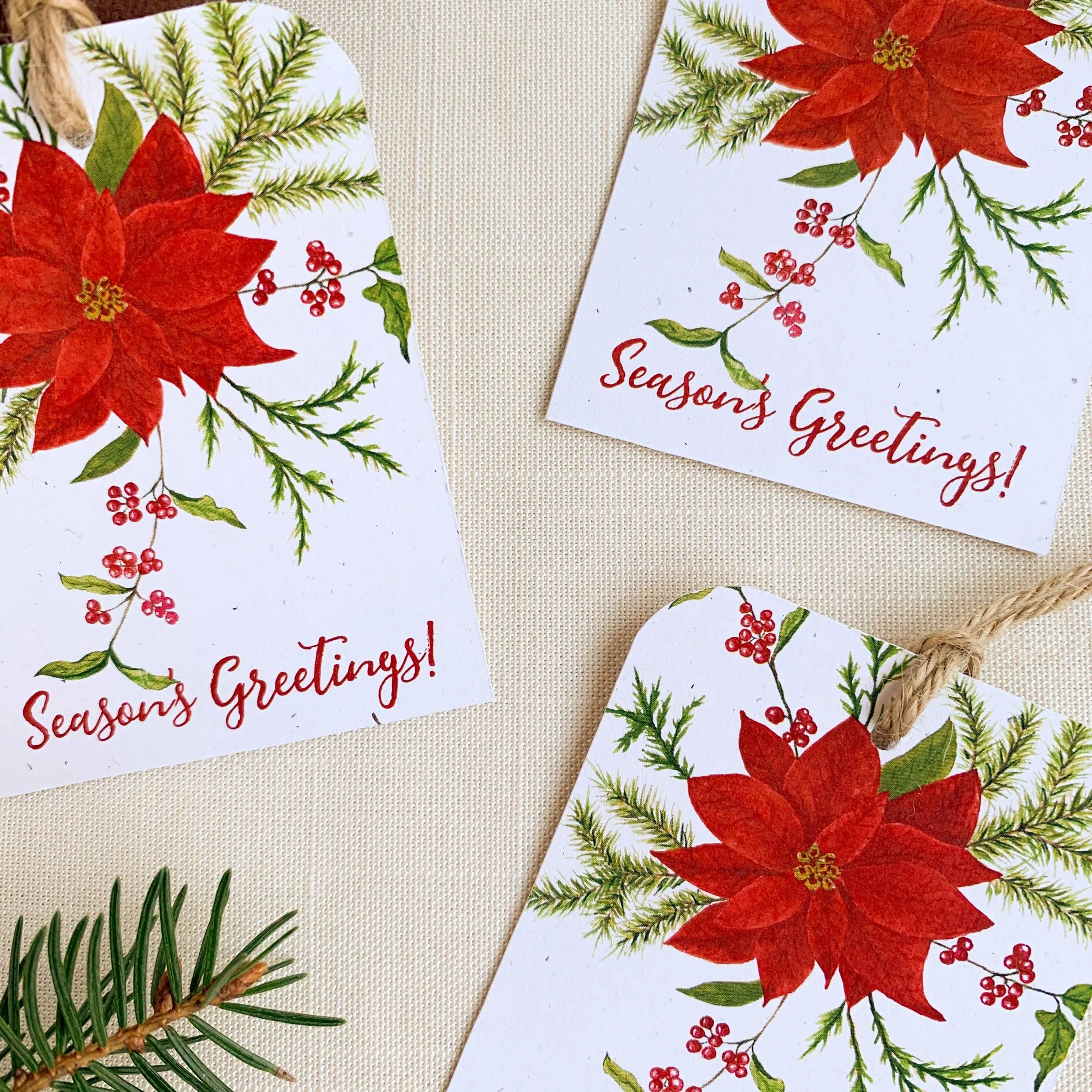 Poinsettia Season Greetings Gift Tag on eco friendly paper