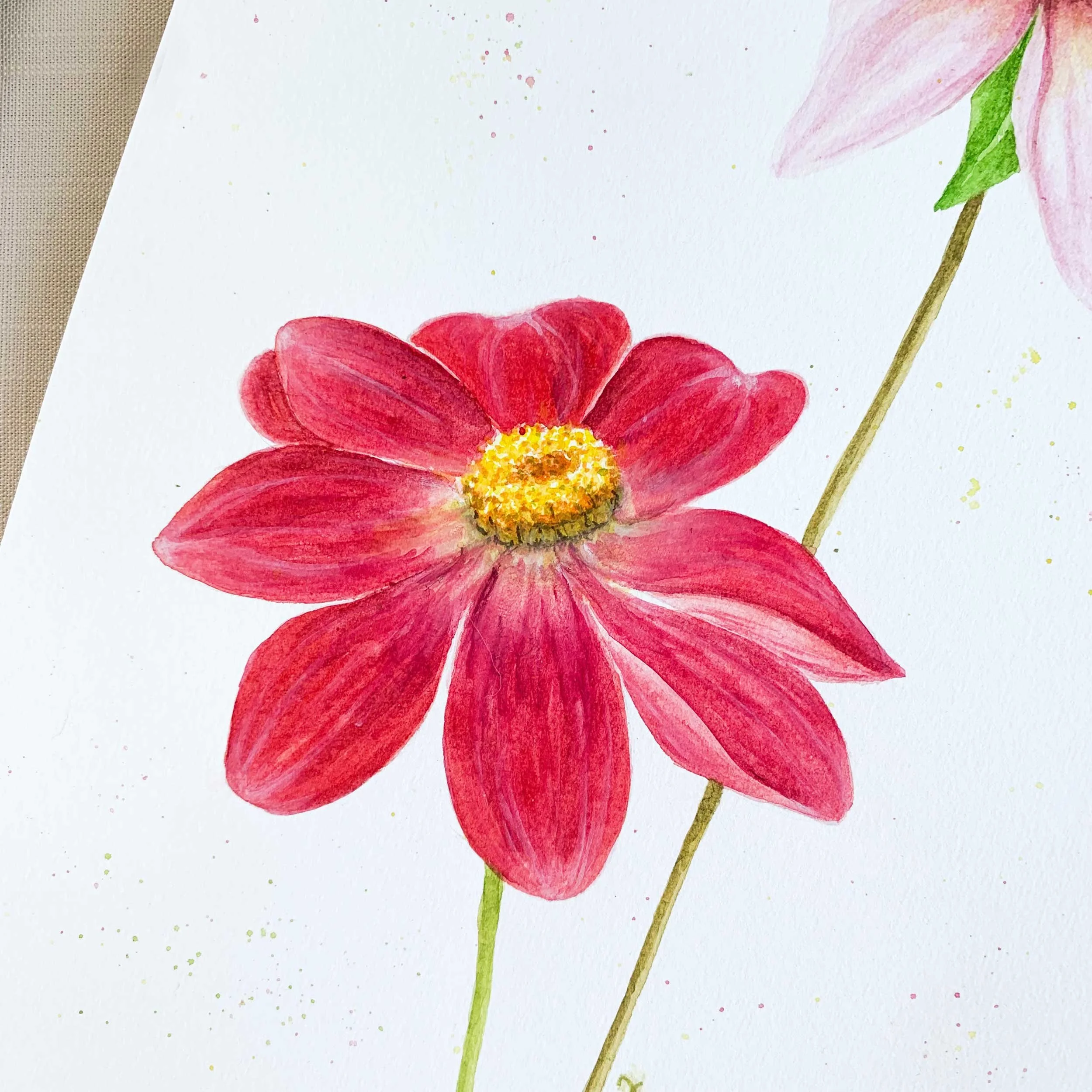 Pink Dahlias Original Watercolor Birthday Gift