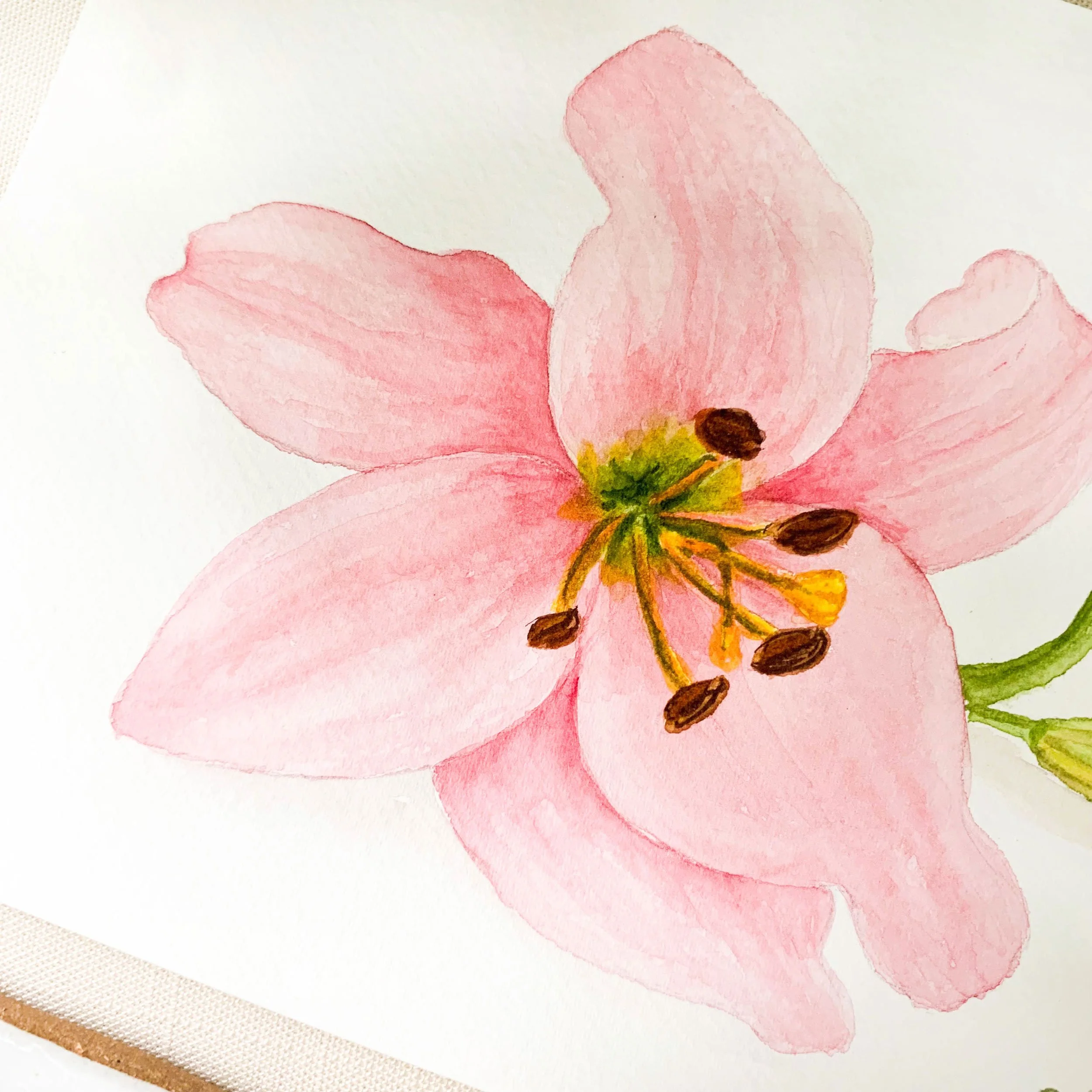 Pink Lily Original Watercolor Painting