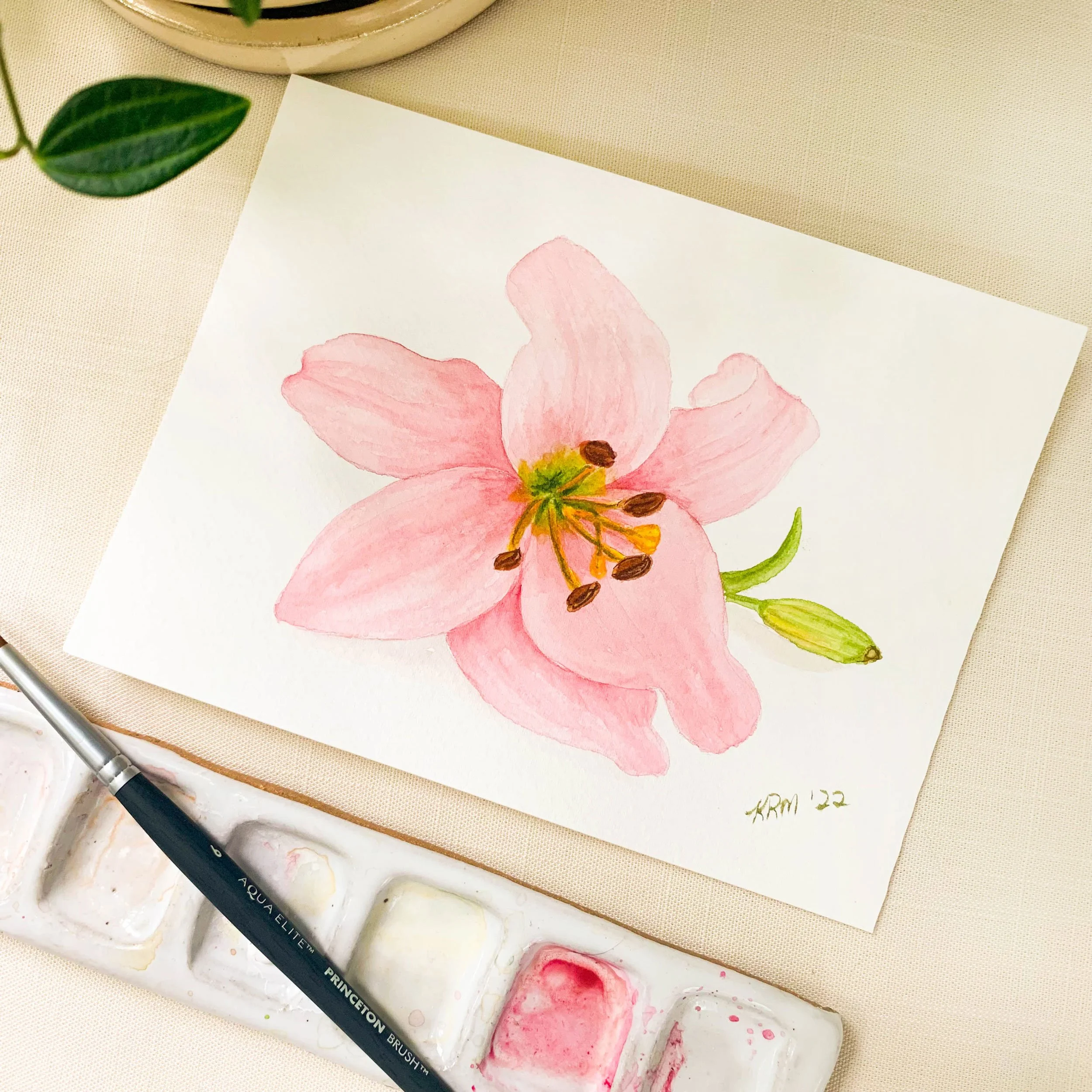 Pink Lily Original Watercolor Painting