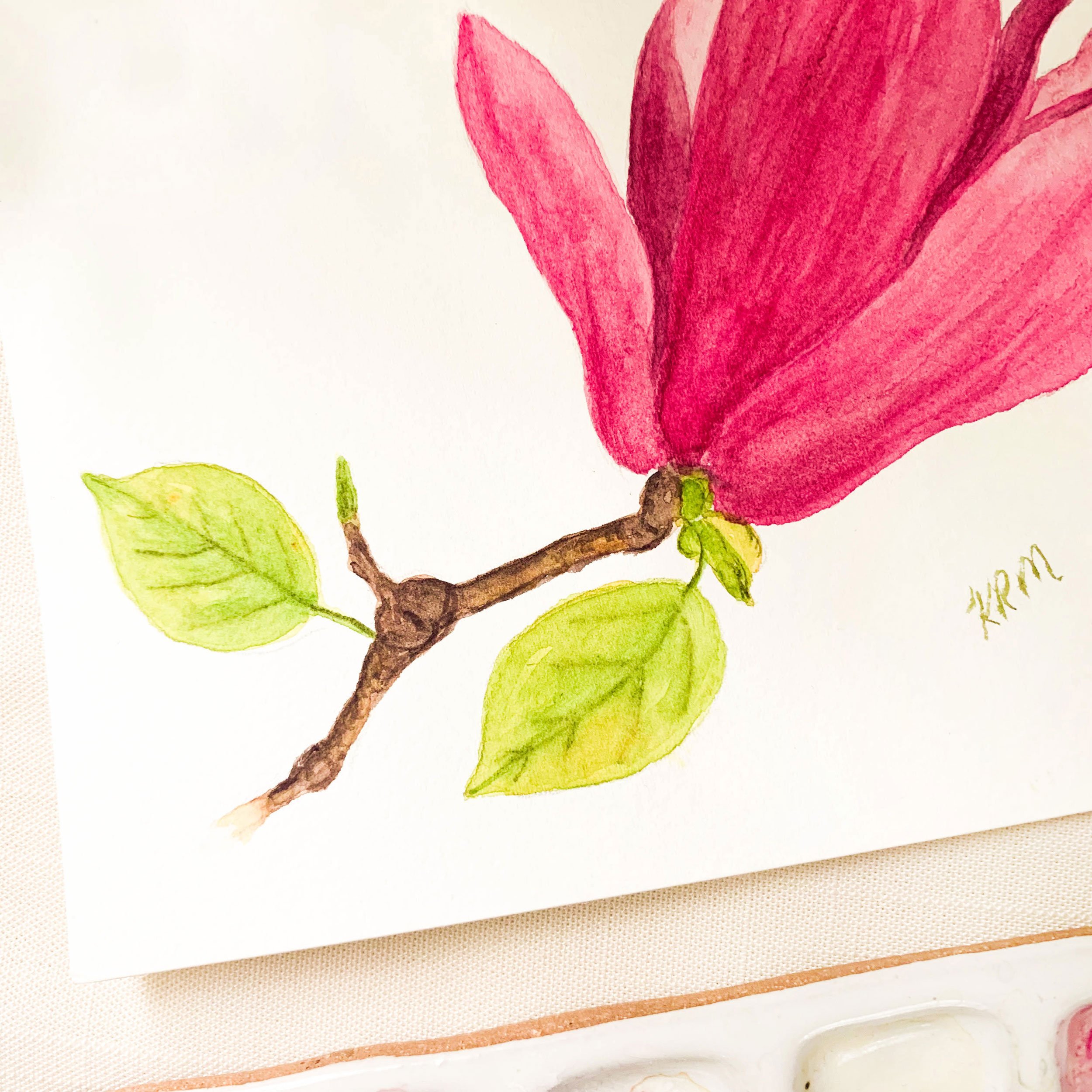 Pink Magnolia Bud Original Watercolor Painting Details