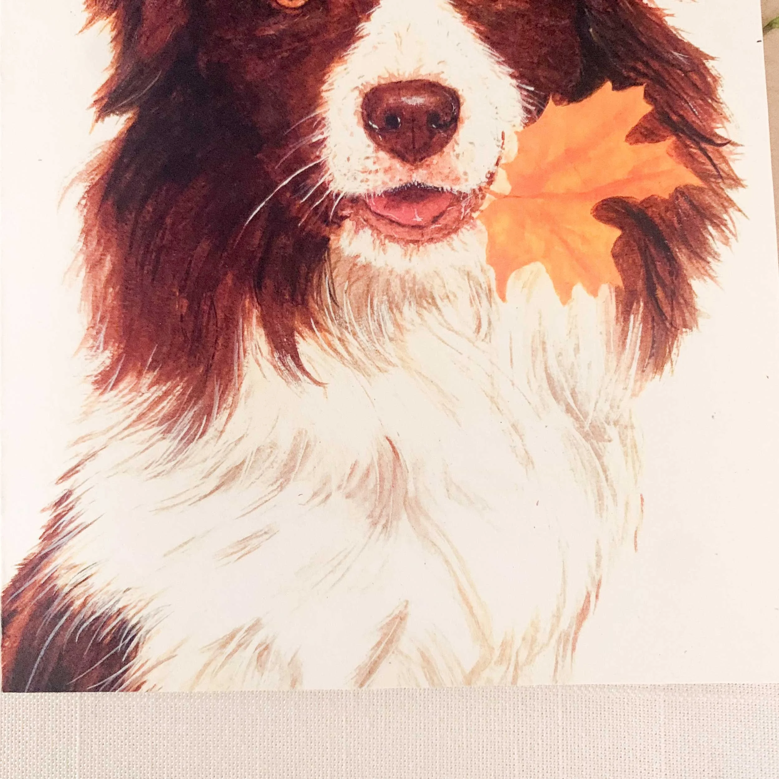 Border-collie-brown-leaf-greeting-card_4.jpg