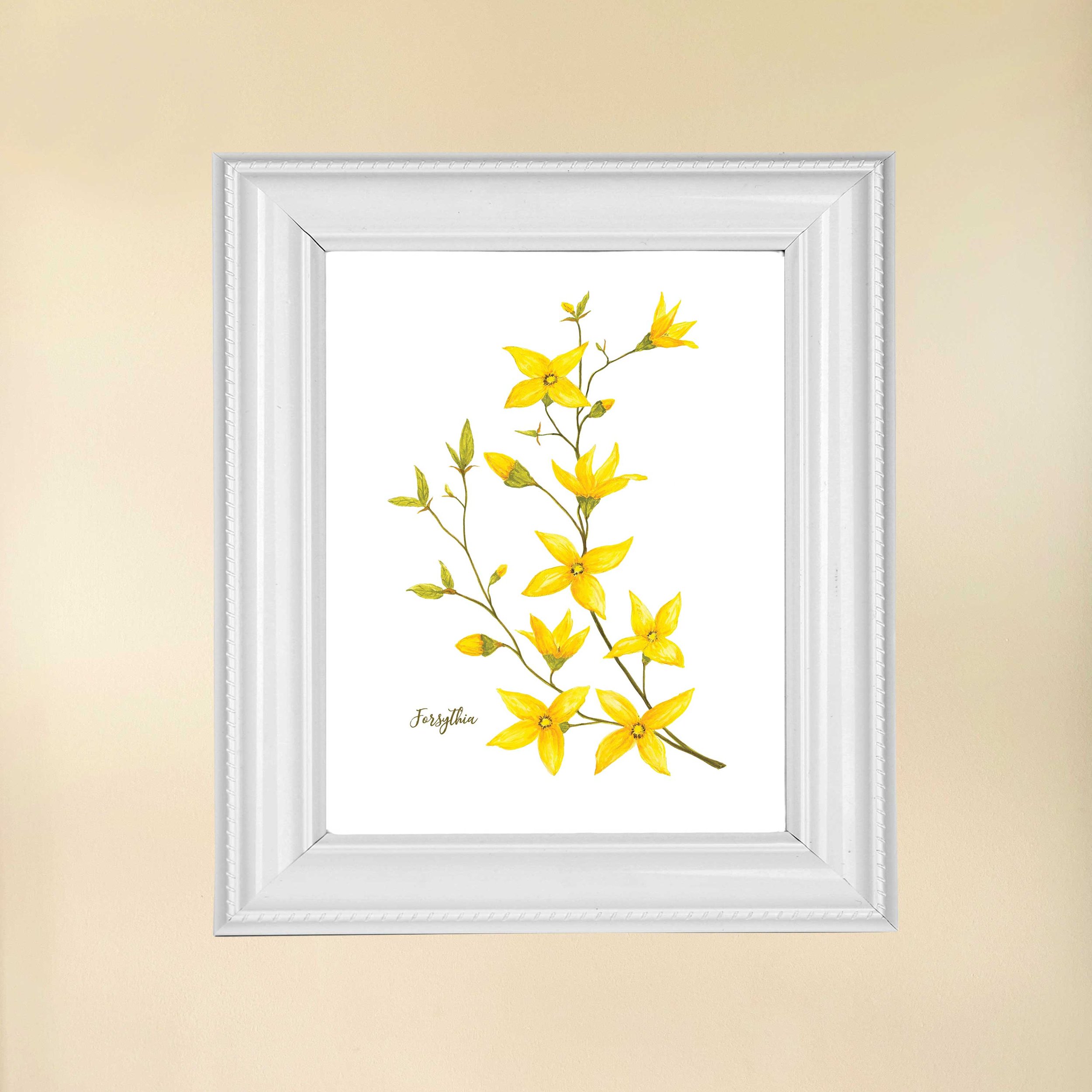 Forsythia Watercolor Art Print on 8 x 10 slightly textured paper.