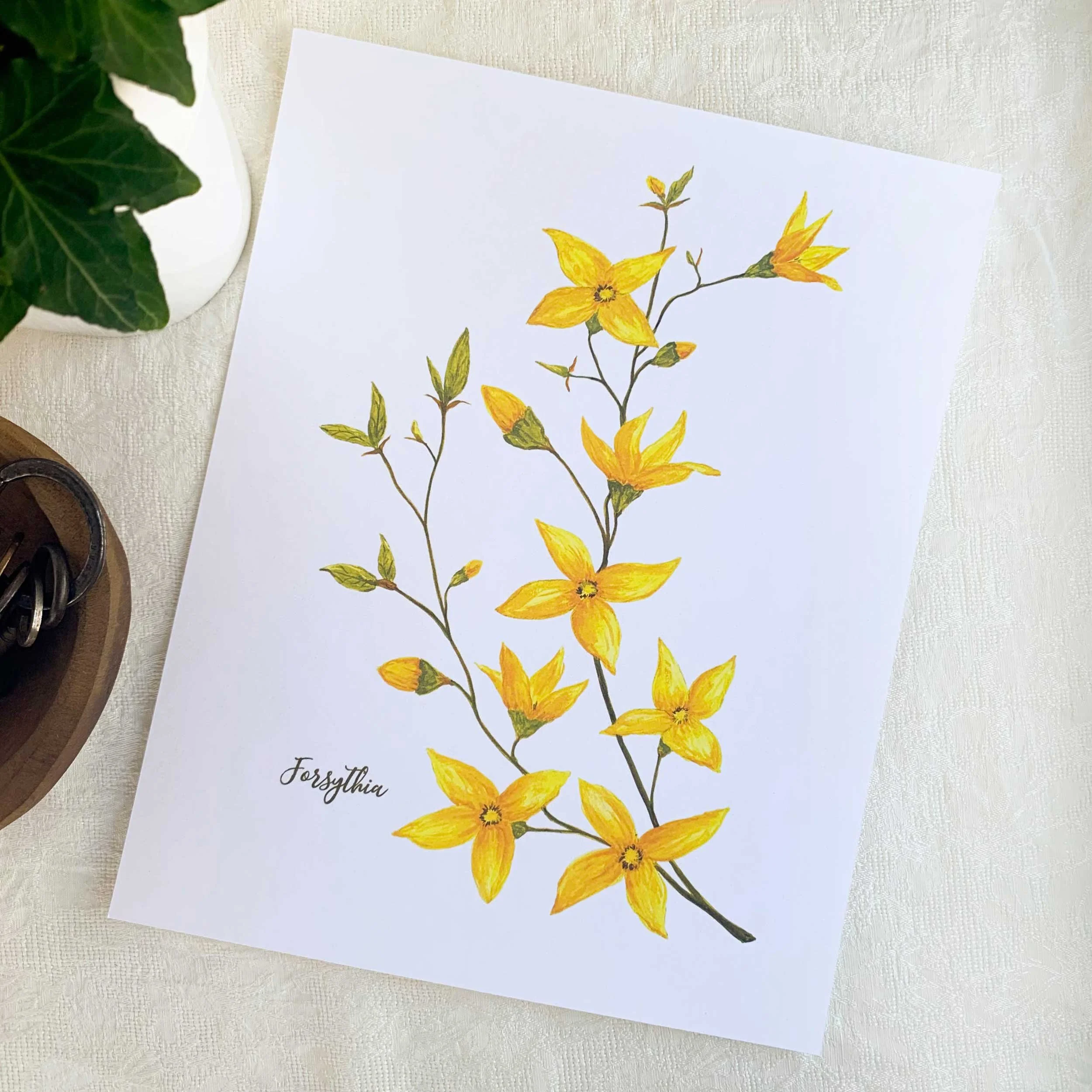 Forsythia Watercolor Art Print