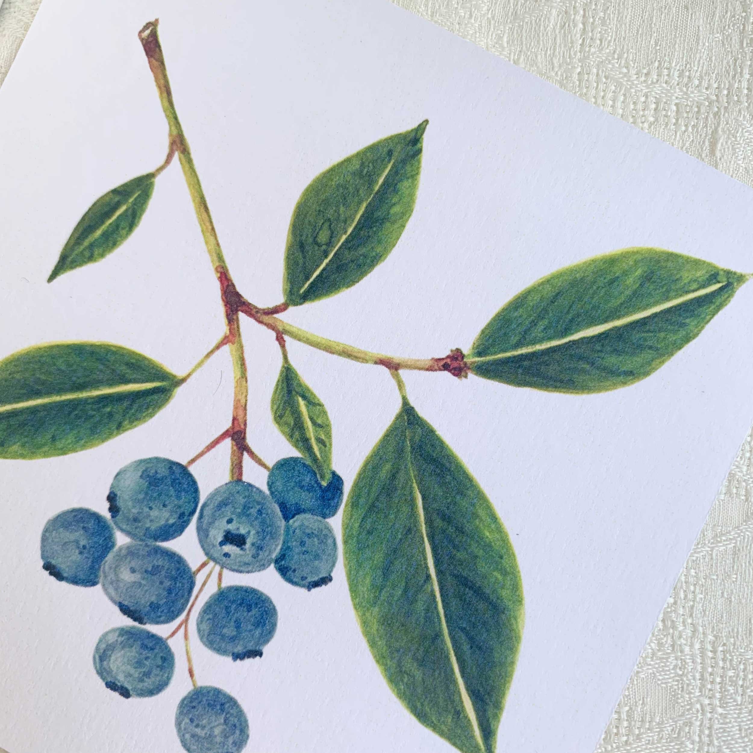 Blueberries Watercolor Art Print sized at 5 x 5 on textured card stock.