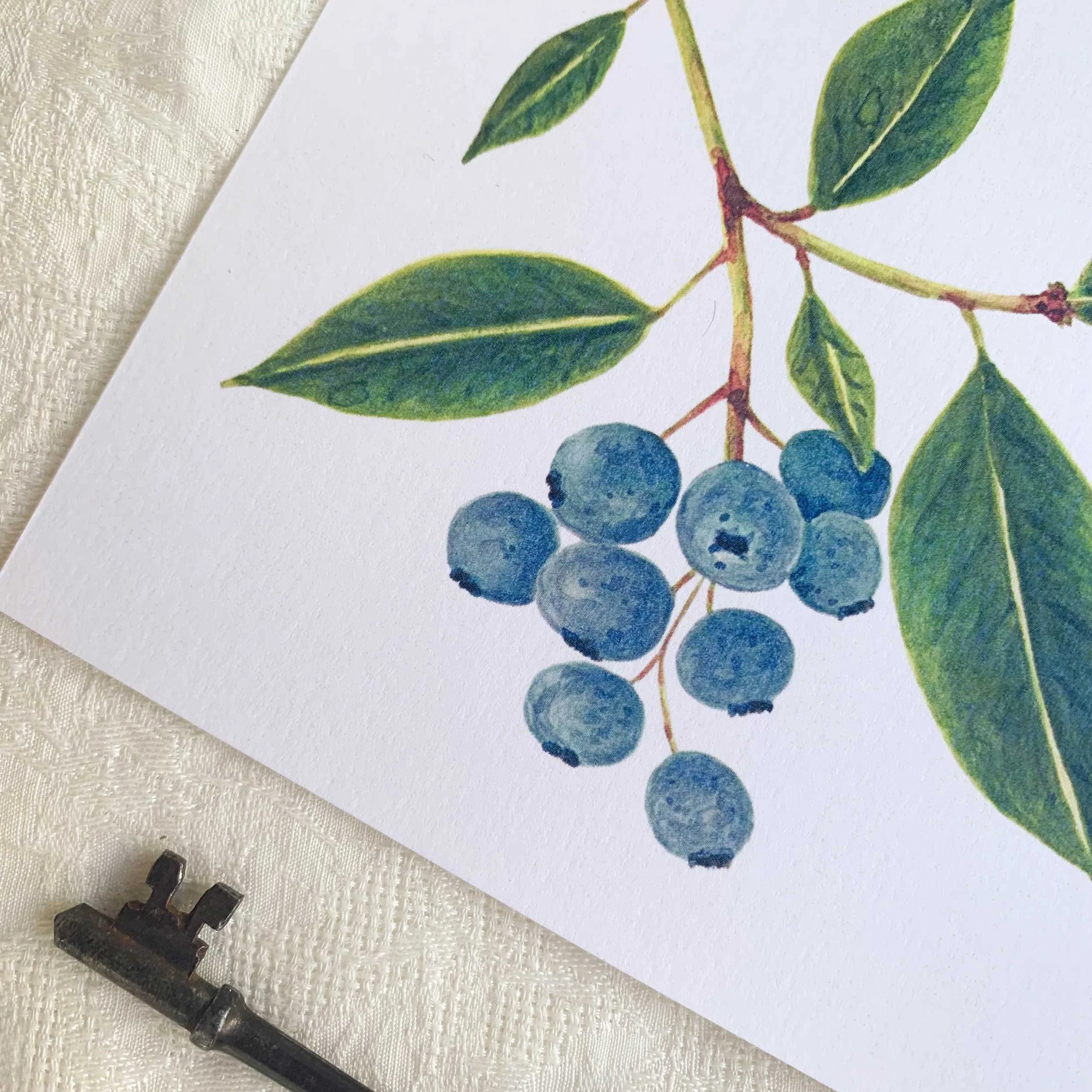 Blueberries Watercolor Art Print sized at 5 x 5 on textured card stock.
