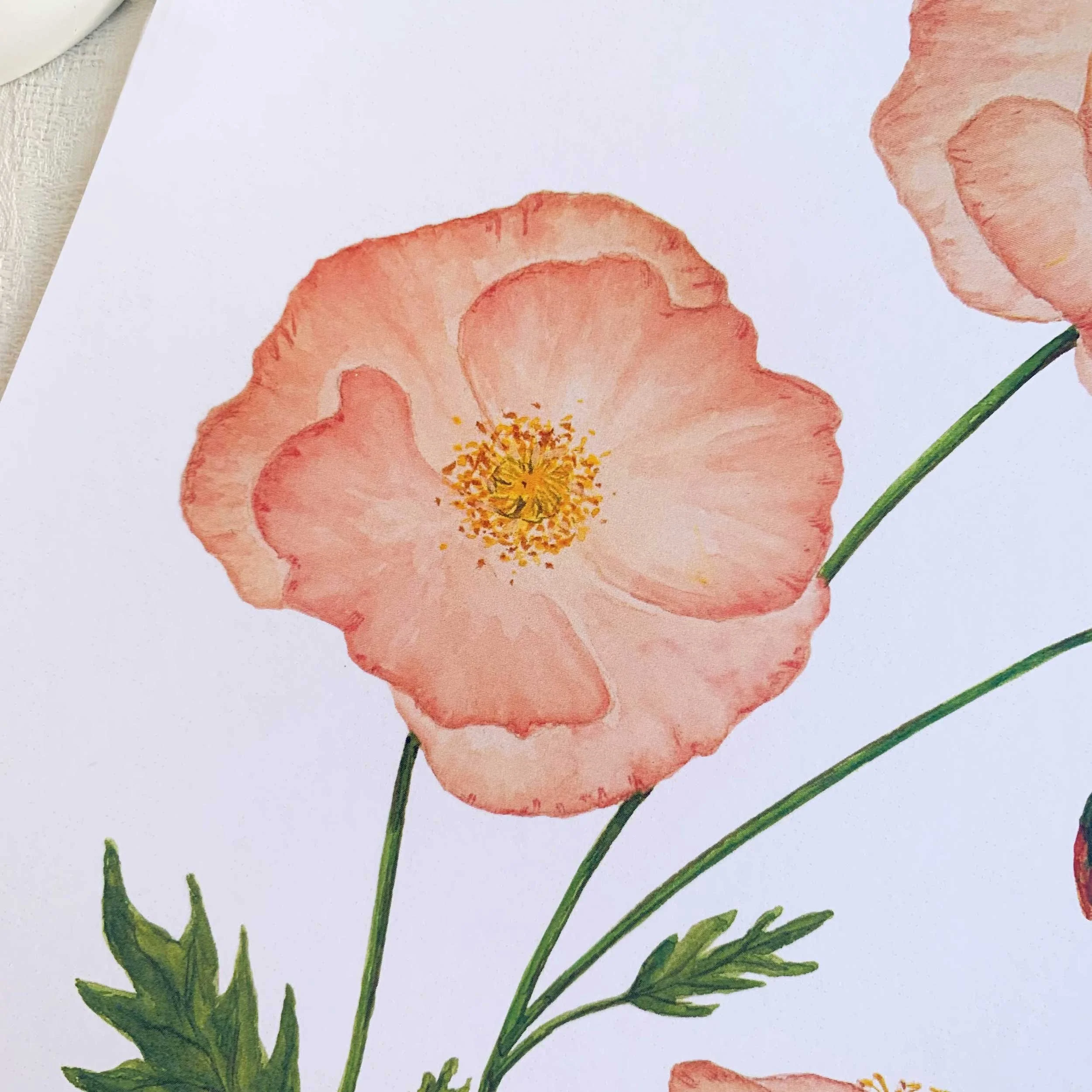 Orange Poppies Watercolor Art Print sized at 8 x 10 printed on 100 lb. slightly textured card stock