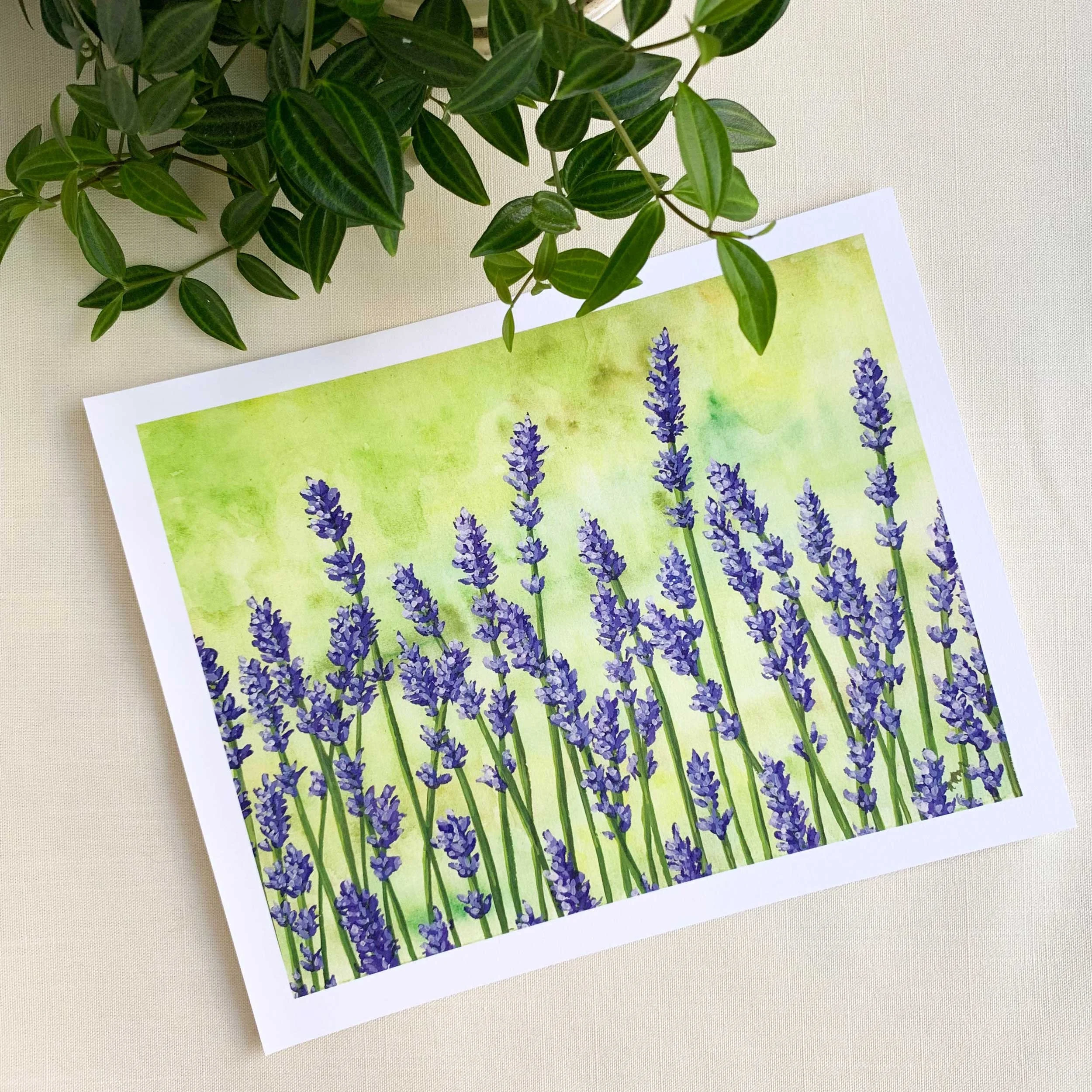 10 x 8 art print of lavender fields on 100 lb. slightly textured card stock.