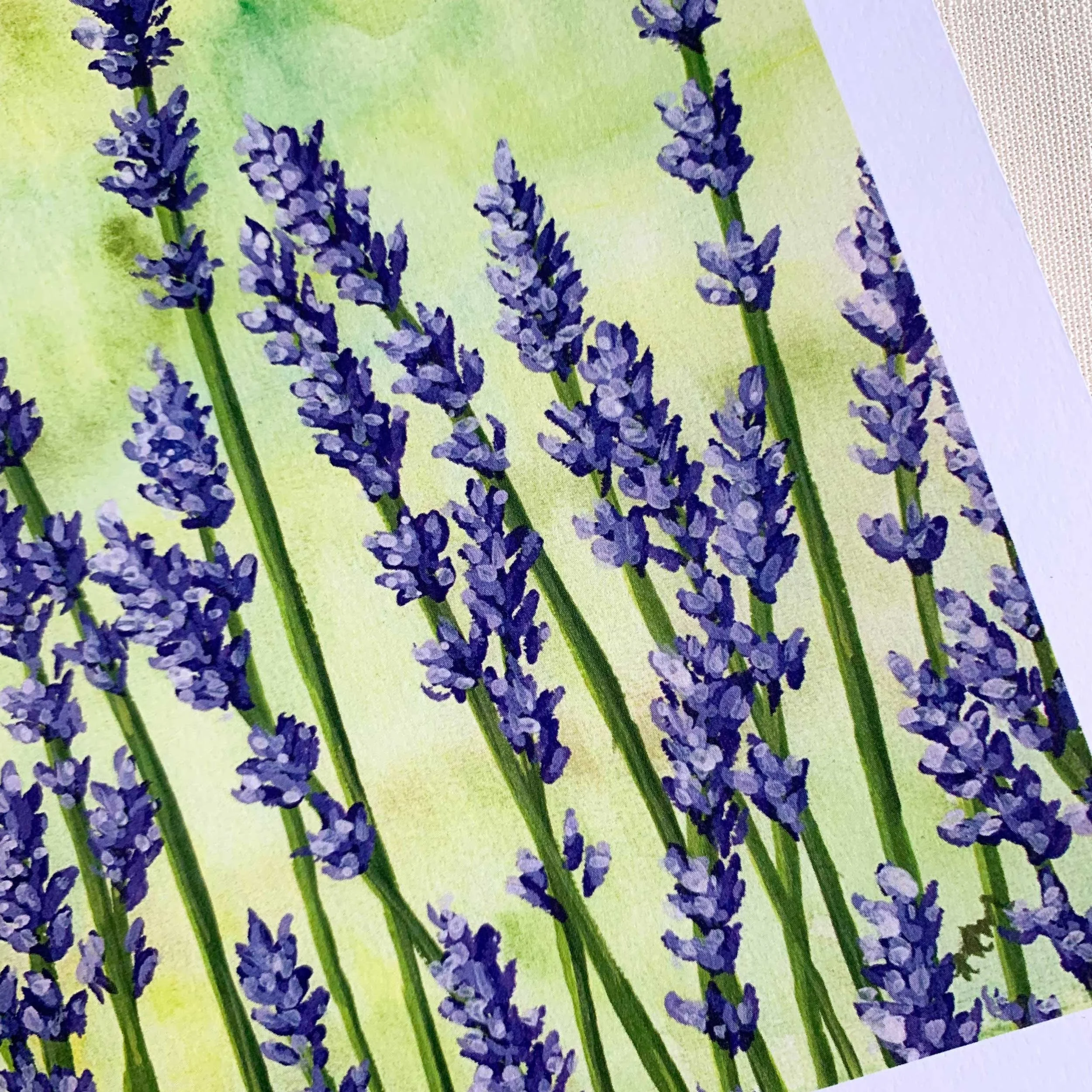 10 x 8 art print of lavender fields on 100 lb. slightly textured card stock.