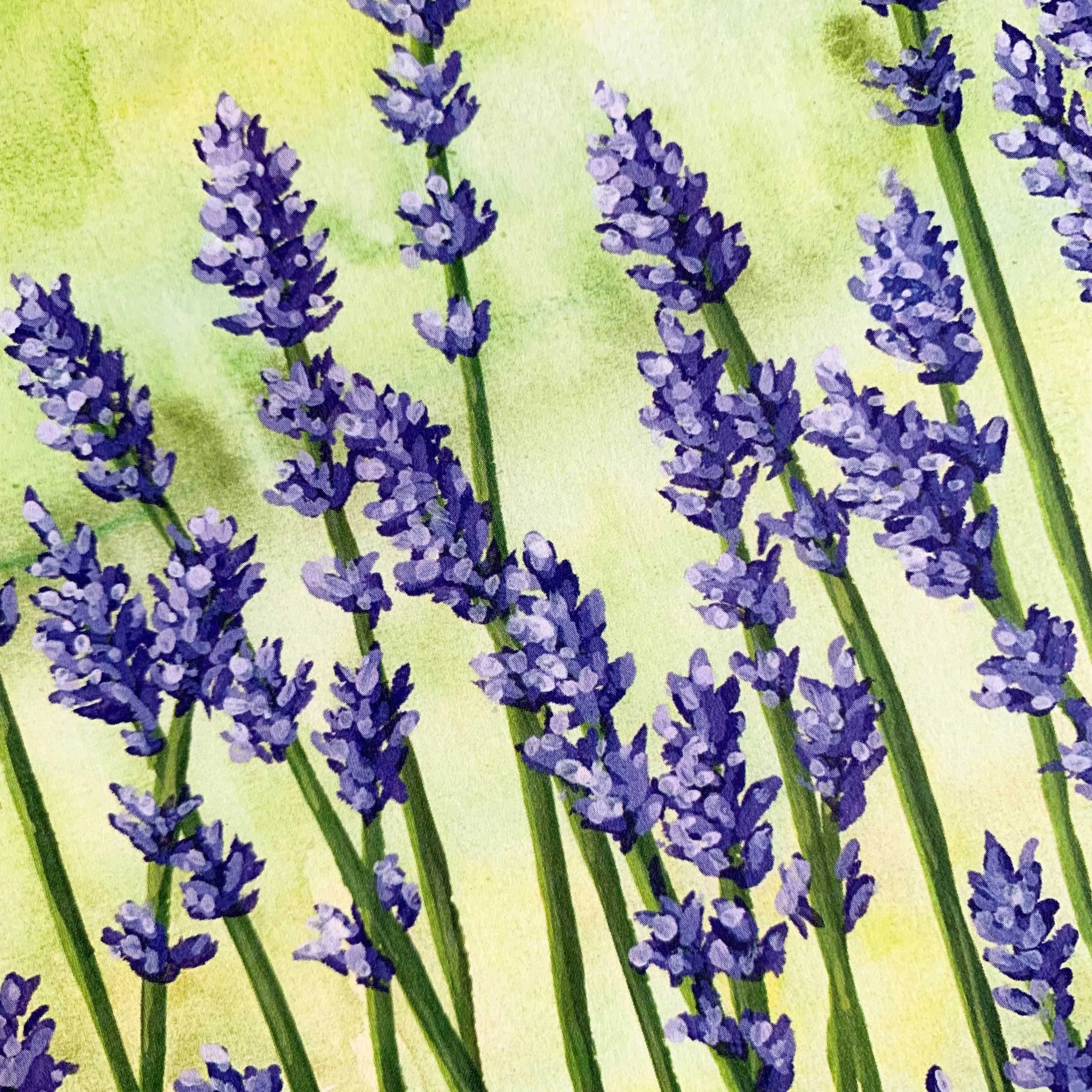 10 x 8 art print of lavender fields on 100 lb. slightly textured card stock.