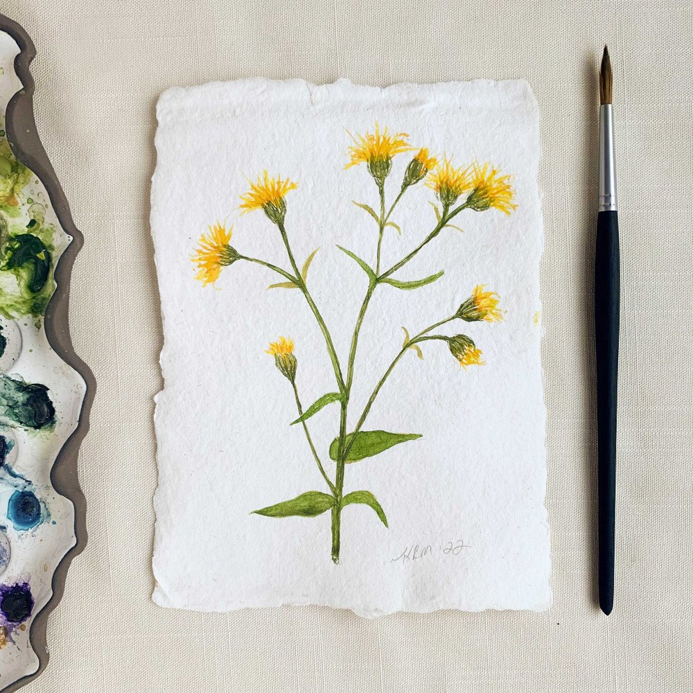 Yellow Wild Flowers Original Watercolor On Handmade Paper With Deckled Edge