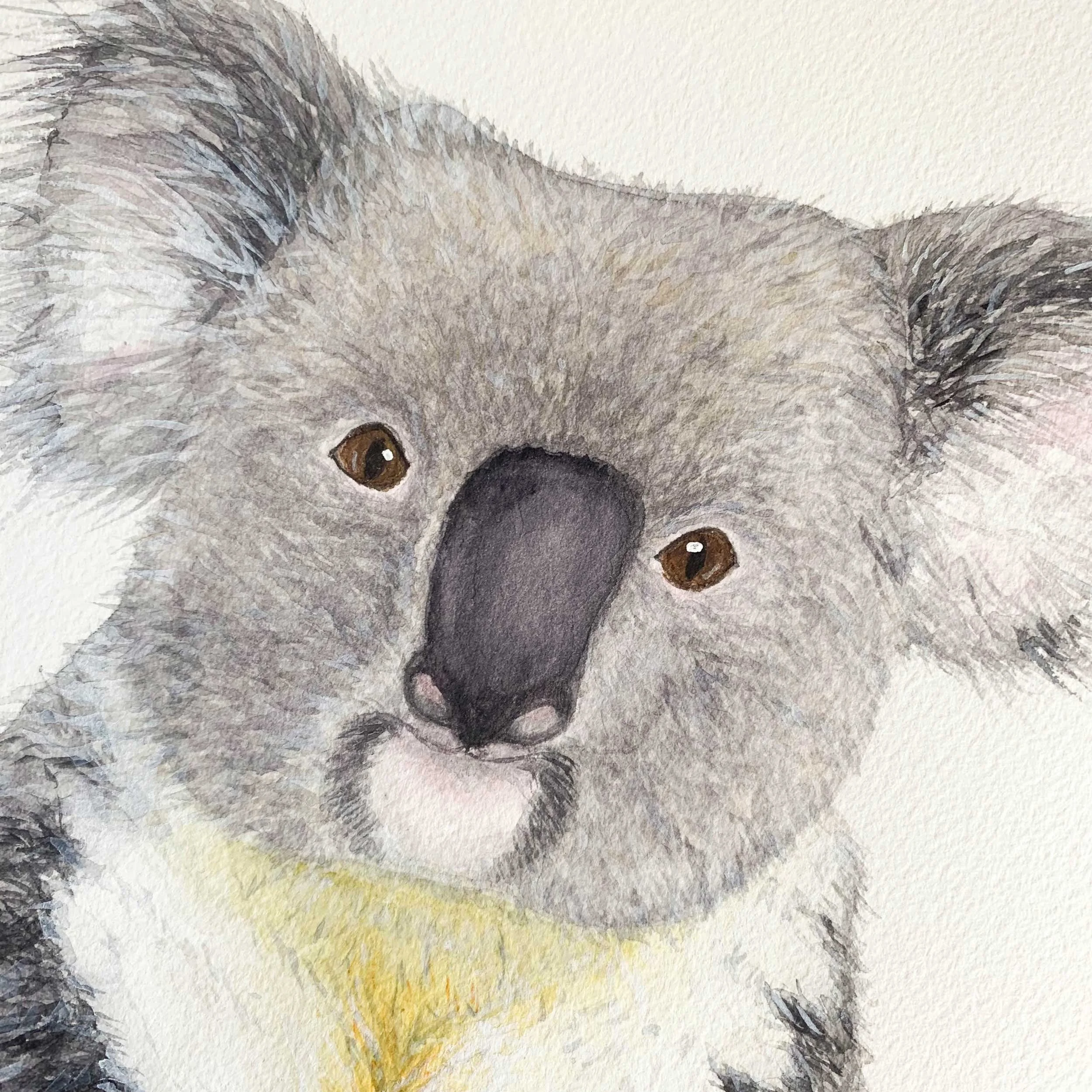 Baby Koala Original Watercolor Painting