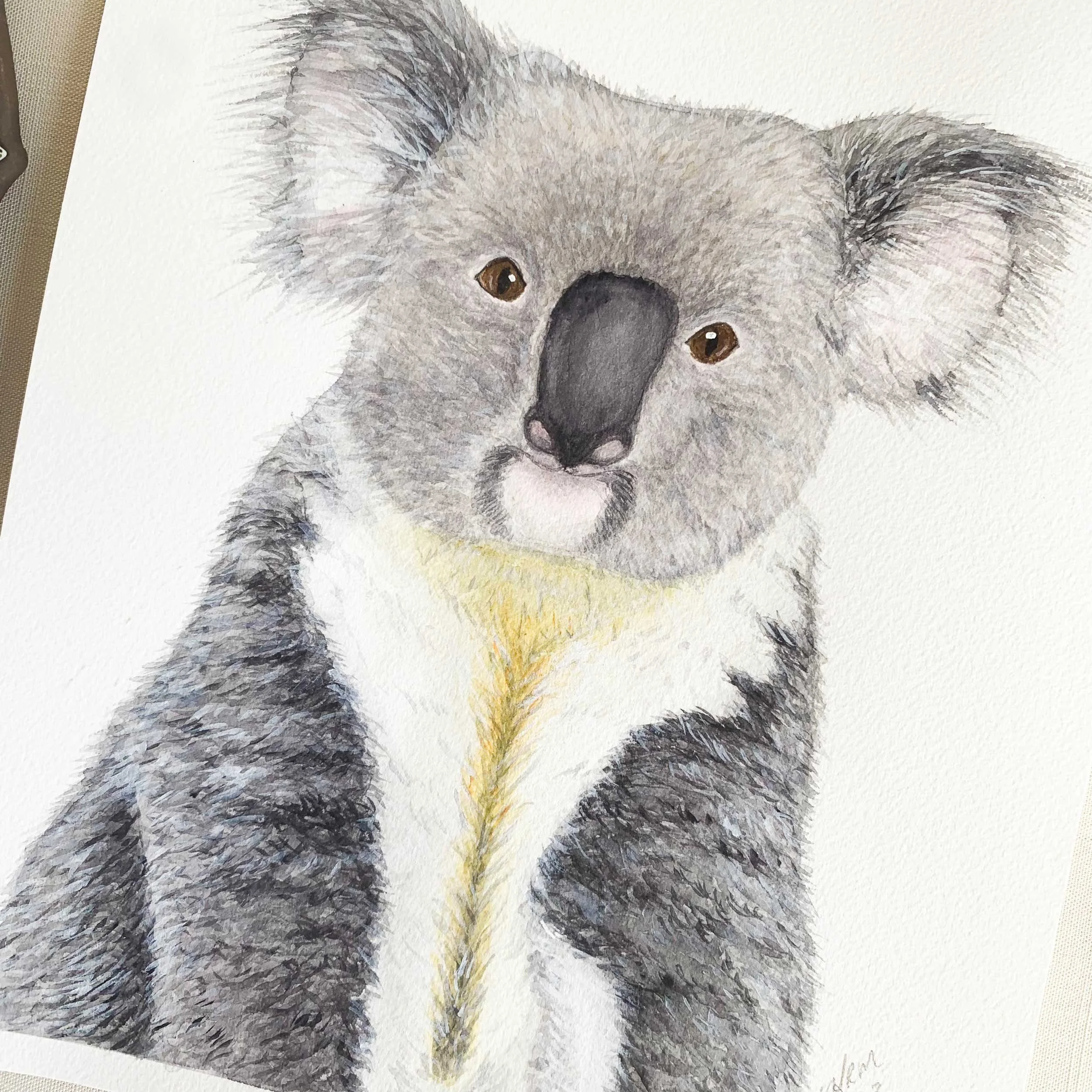 Baby Koala Original Watercolor Painting