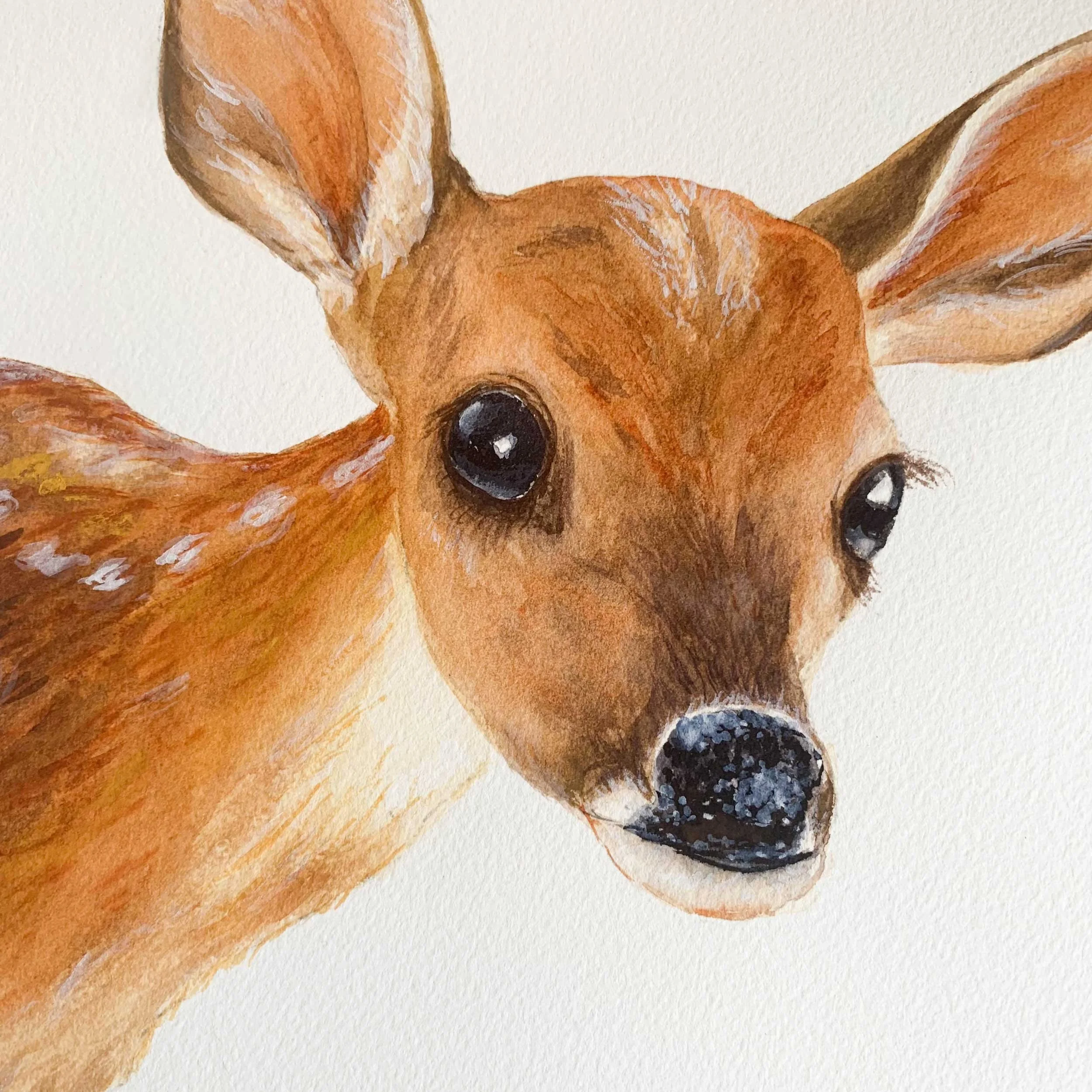 Baby Deer "Fawn" Original Watercolor Painting