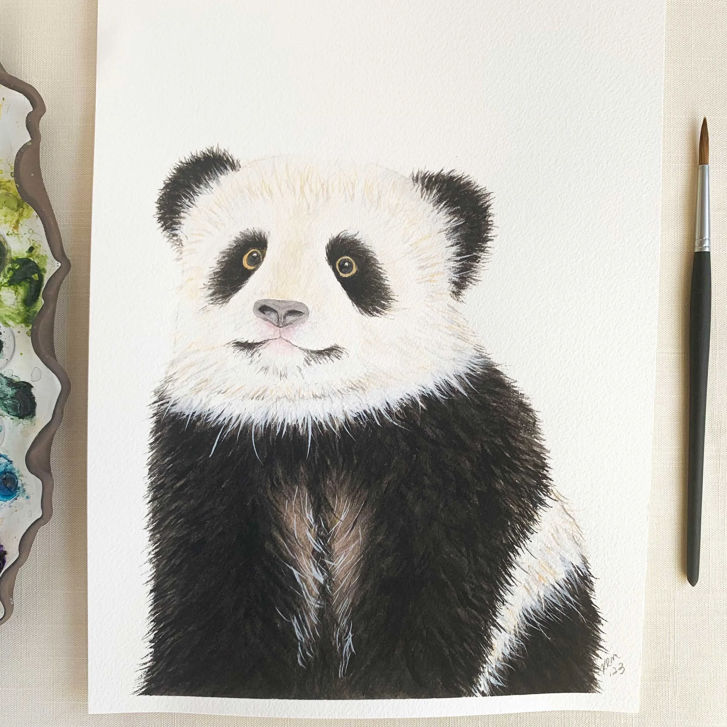 Baby Panda Original Watercolor Painting