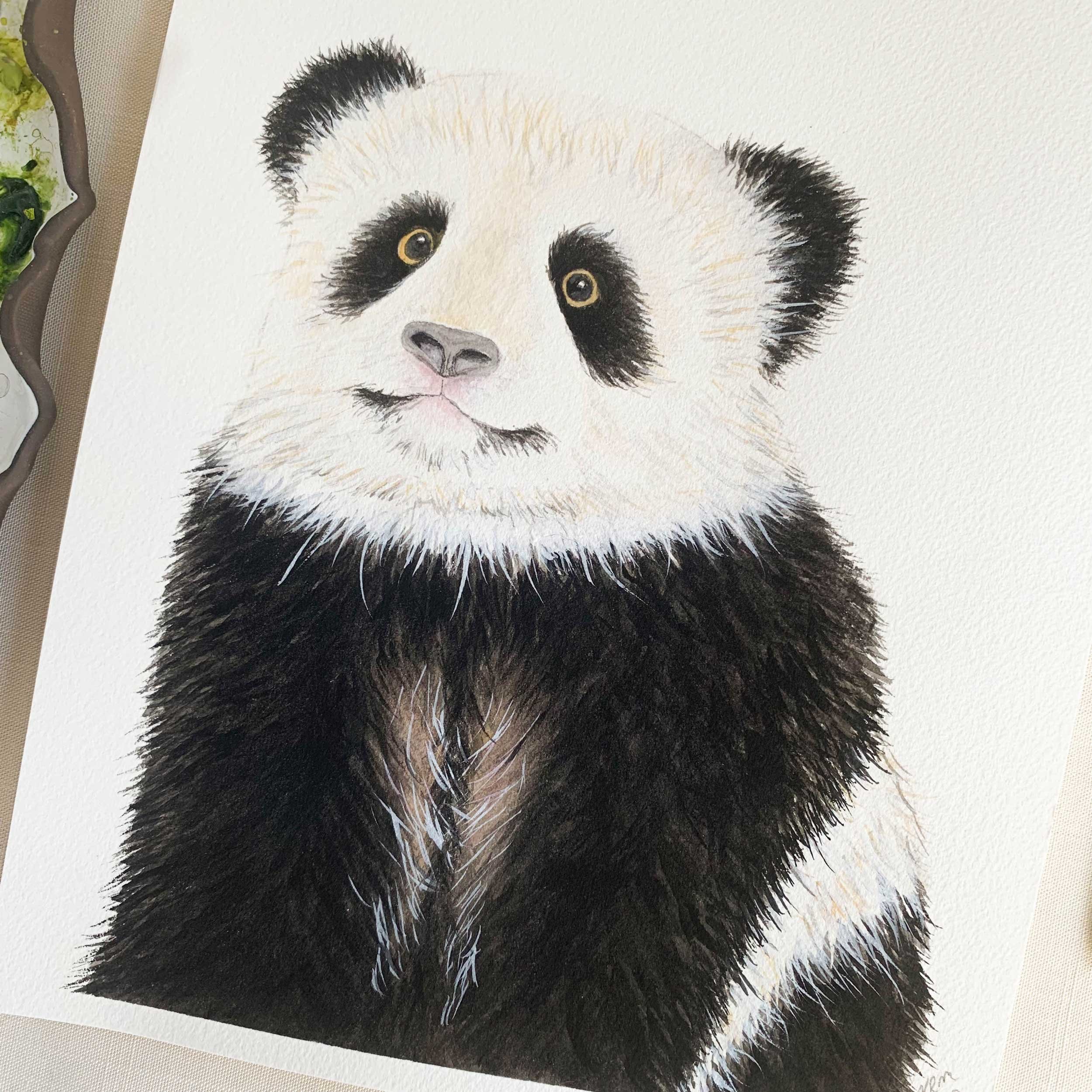 Baby Panda Original Watercolor Painting
