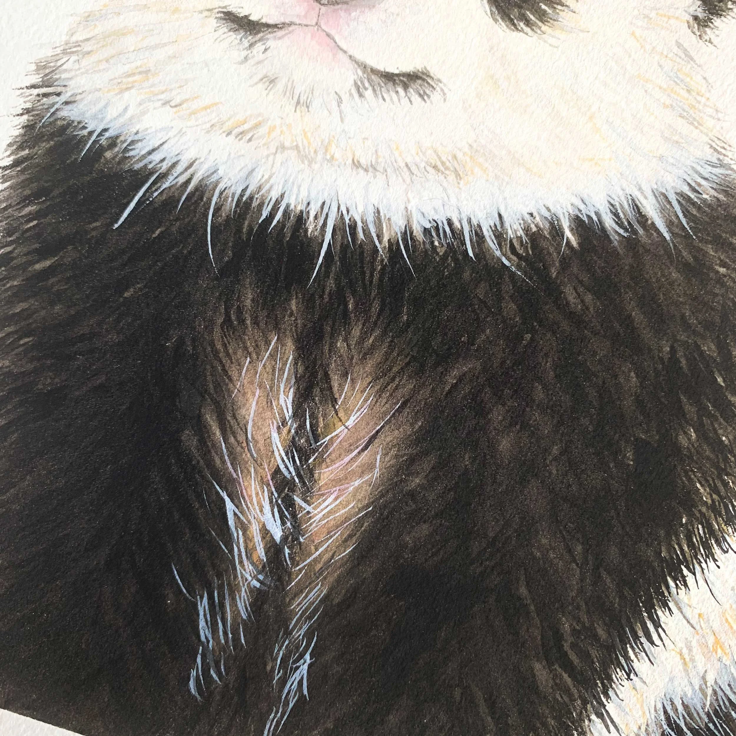 Baby Panda Original Watercolor Painting