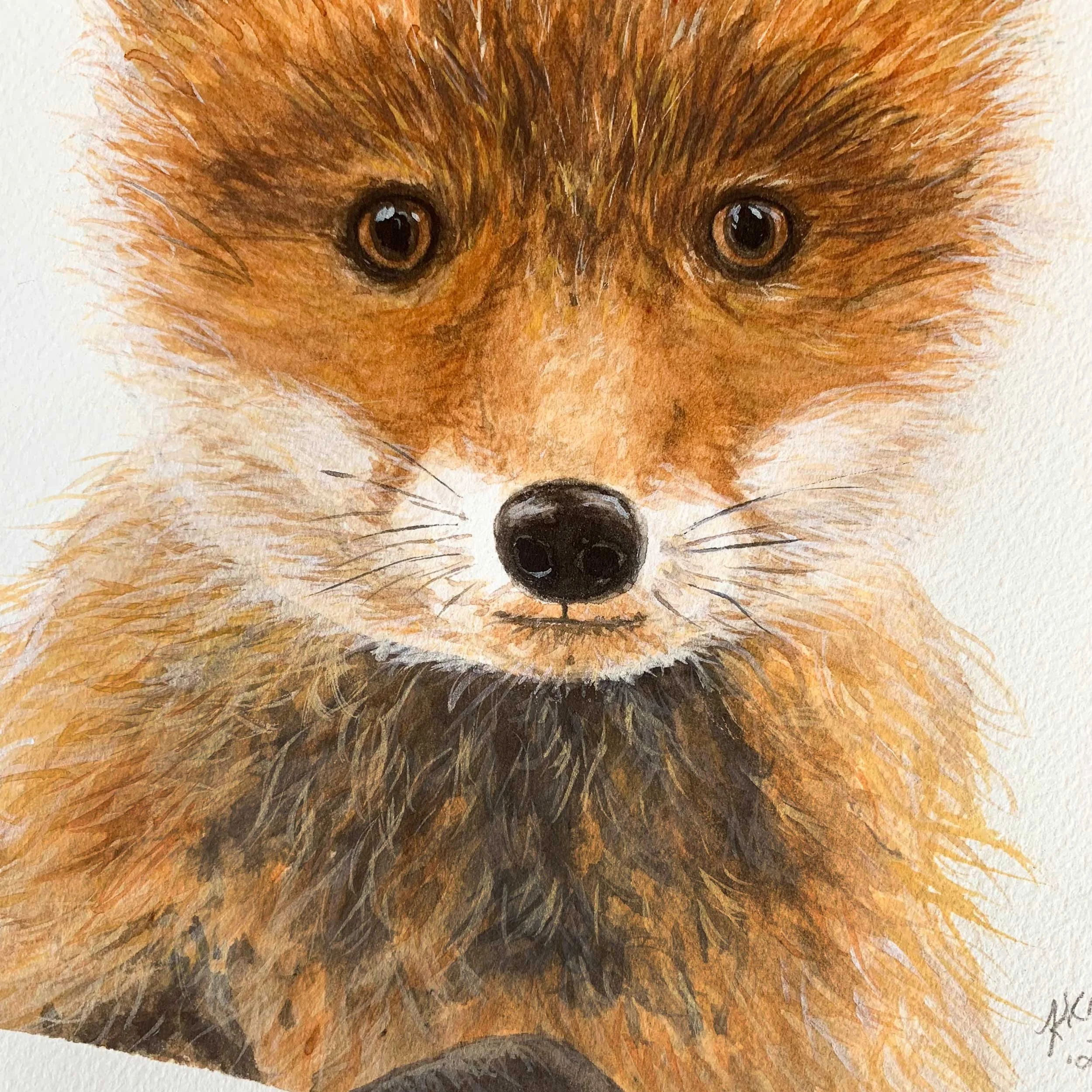Baby Red Fox Original Watercolor Painting
