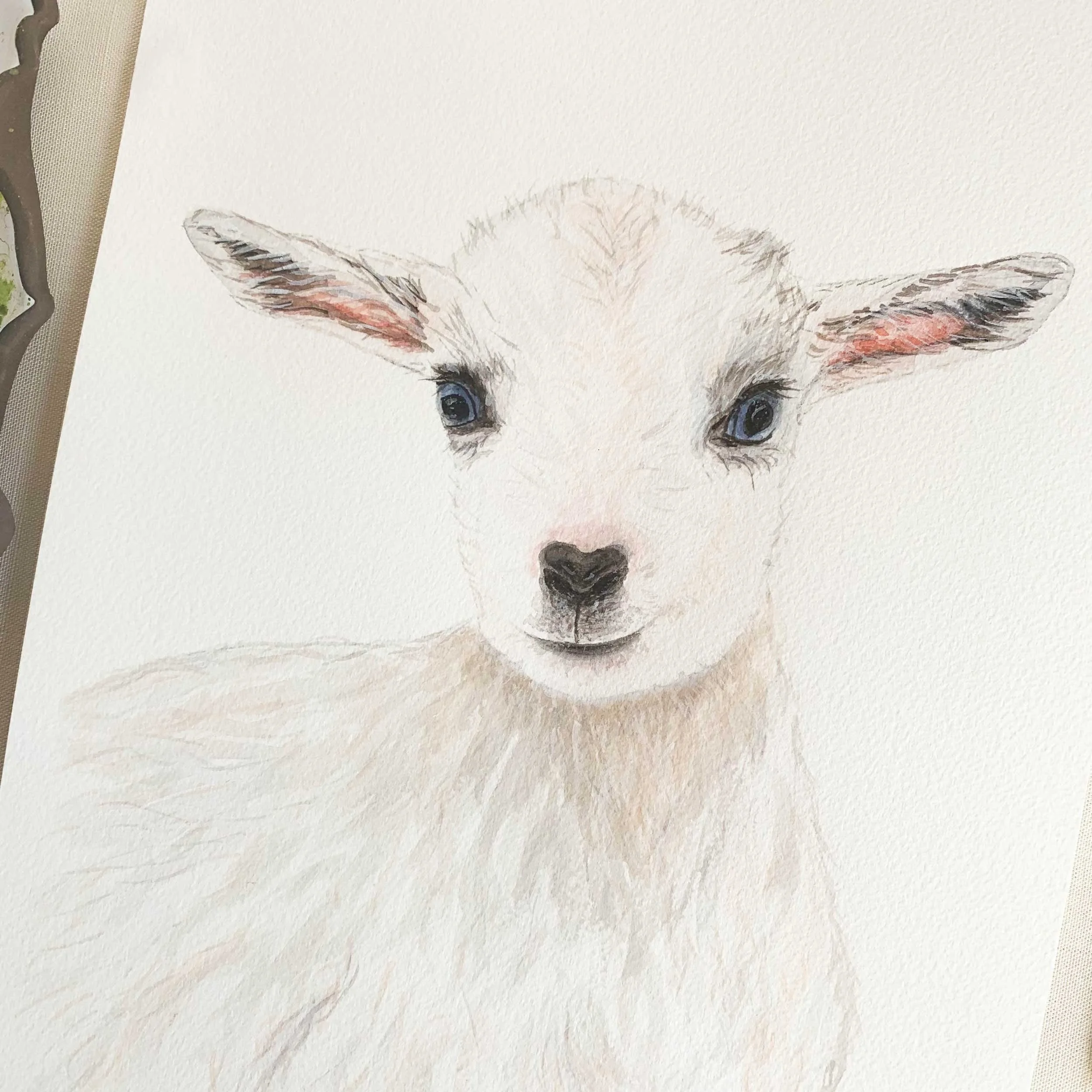Baby Goat Original Watercolor Painting