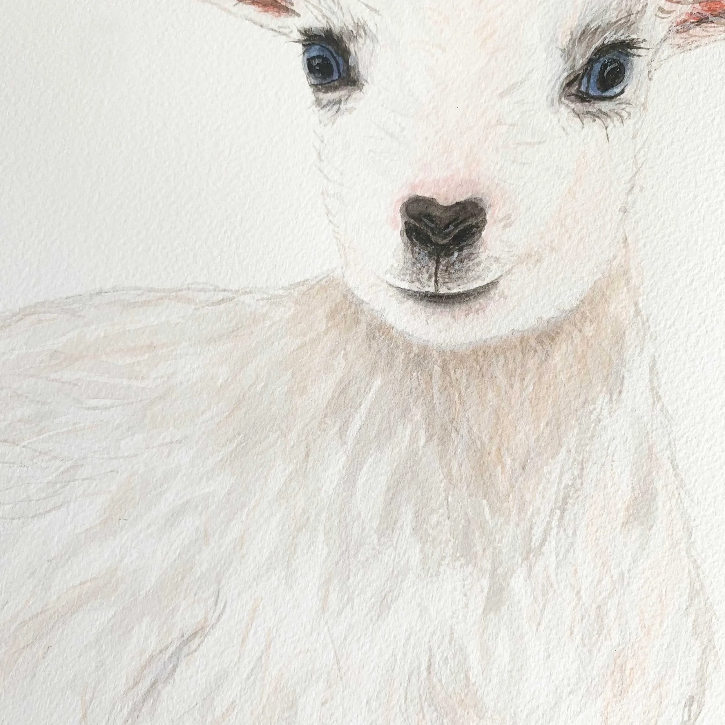 Baby Goat Original Watercolor Painting