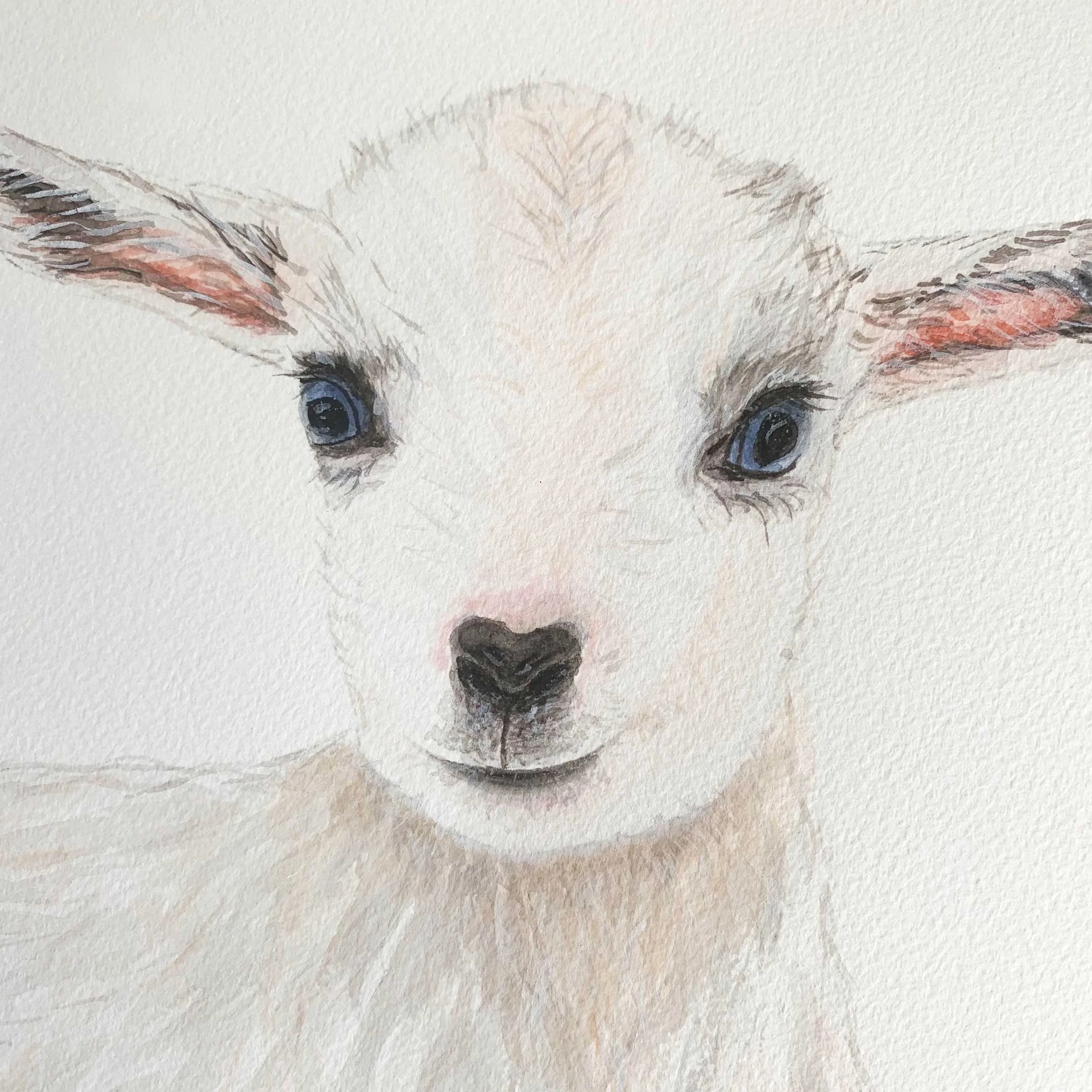 Baby Goat Original Watercolor Painting