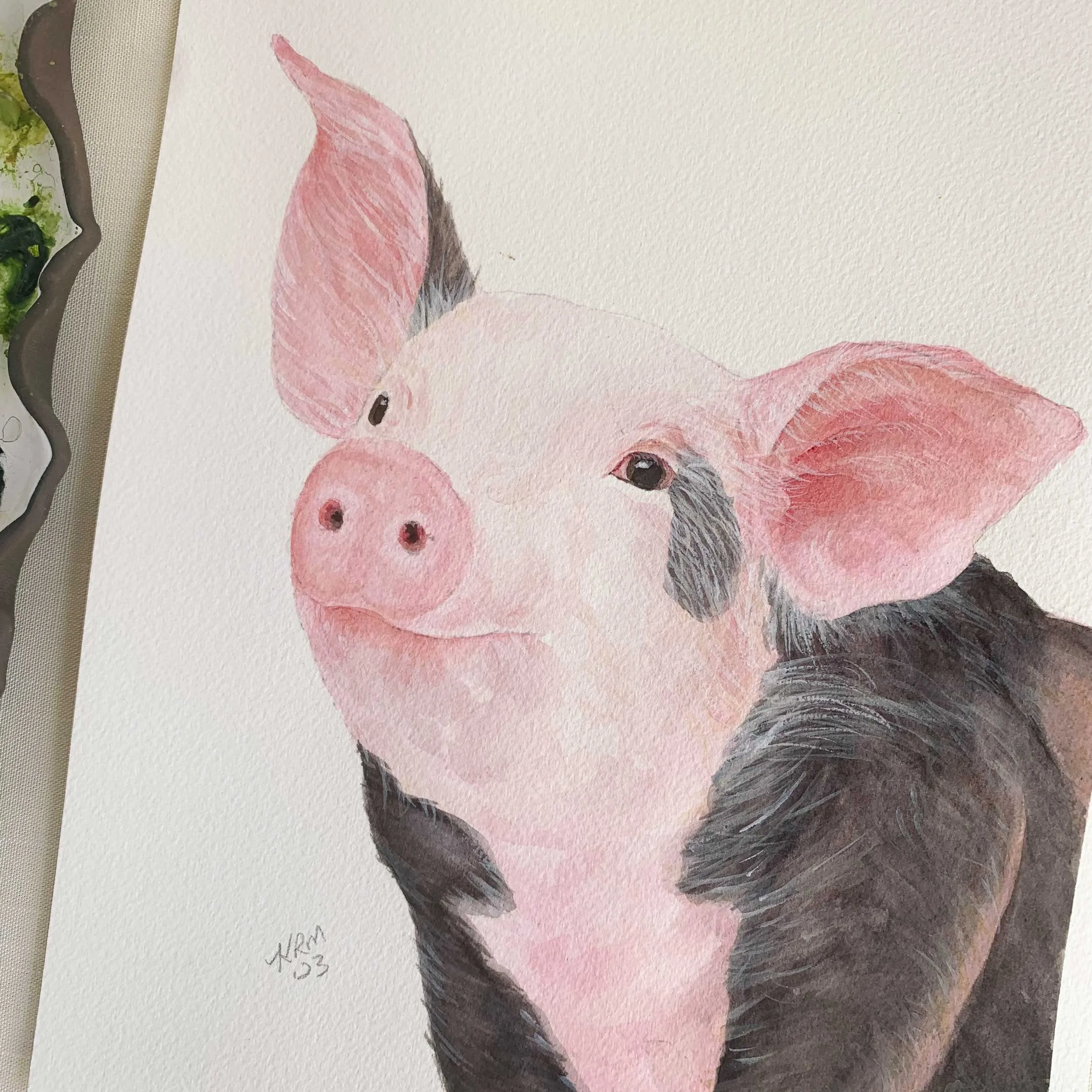 Baby Pig Original Watercolor Painting