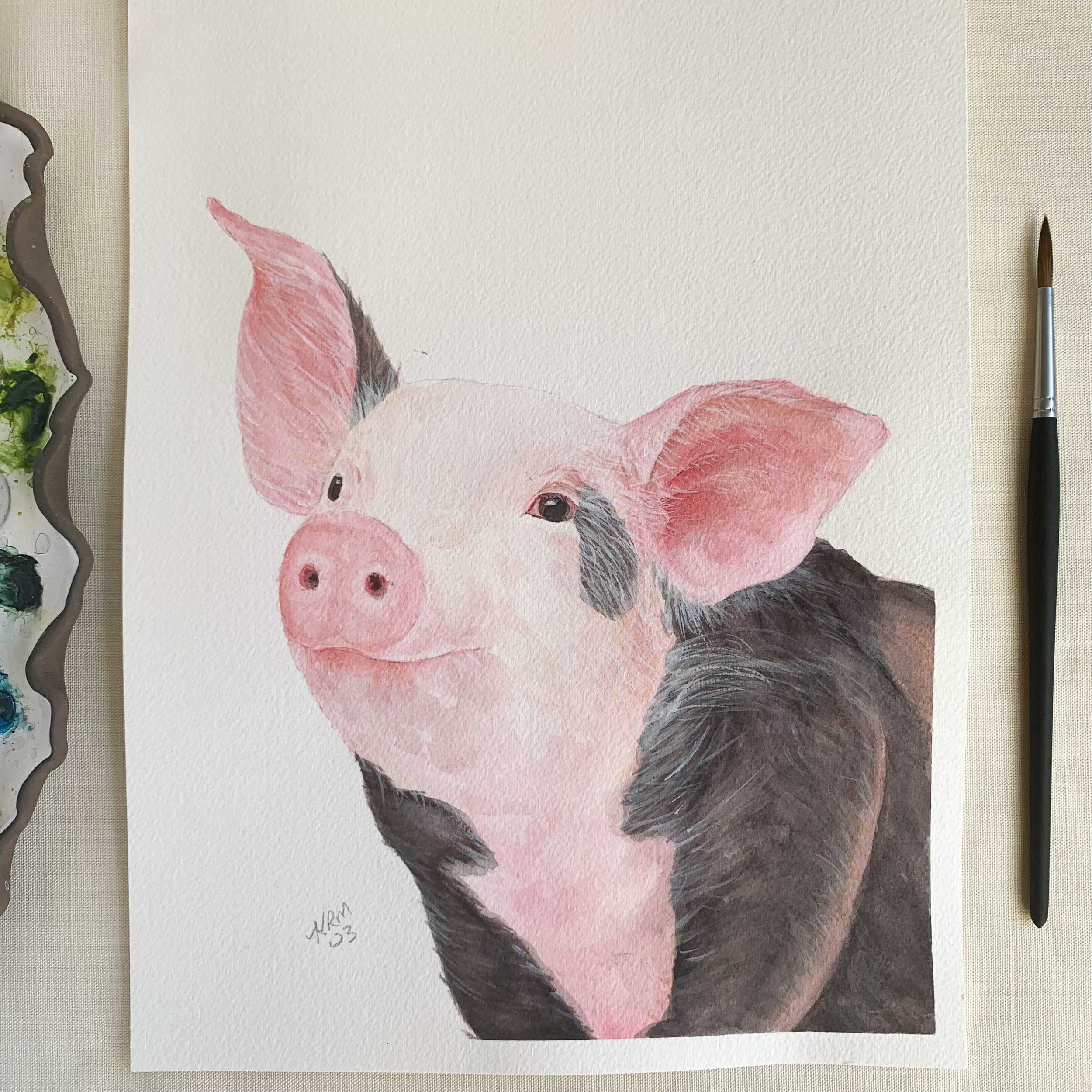 Baby Pig Original Watercolor Painting