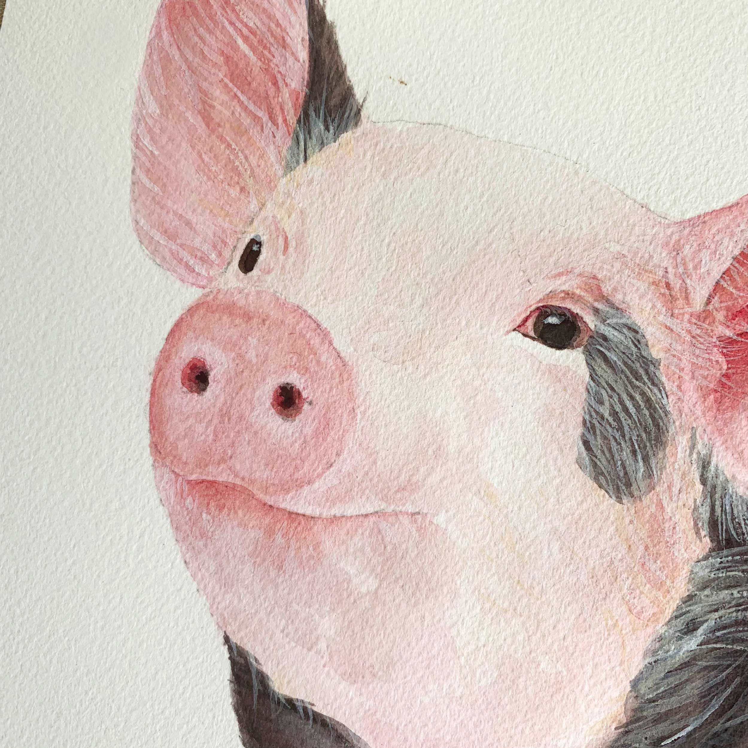 Baby Pig Original Watercolor Painting
