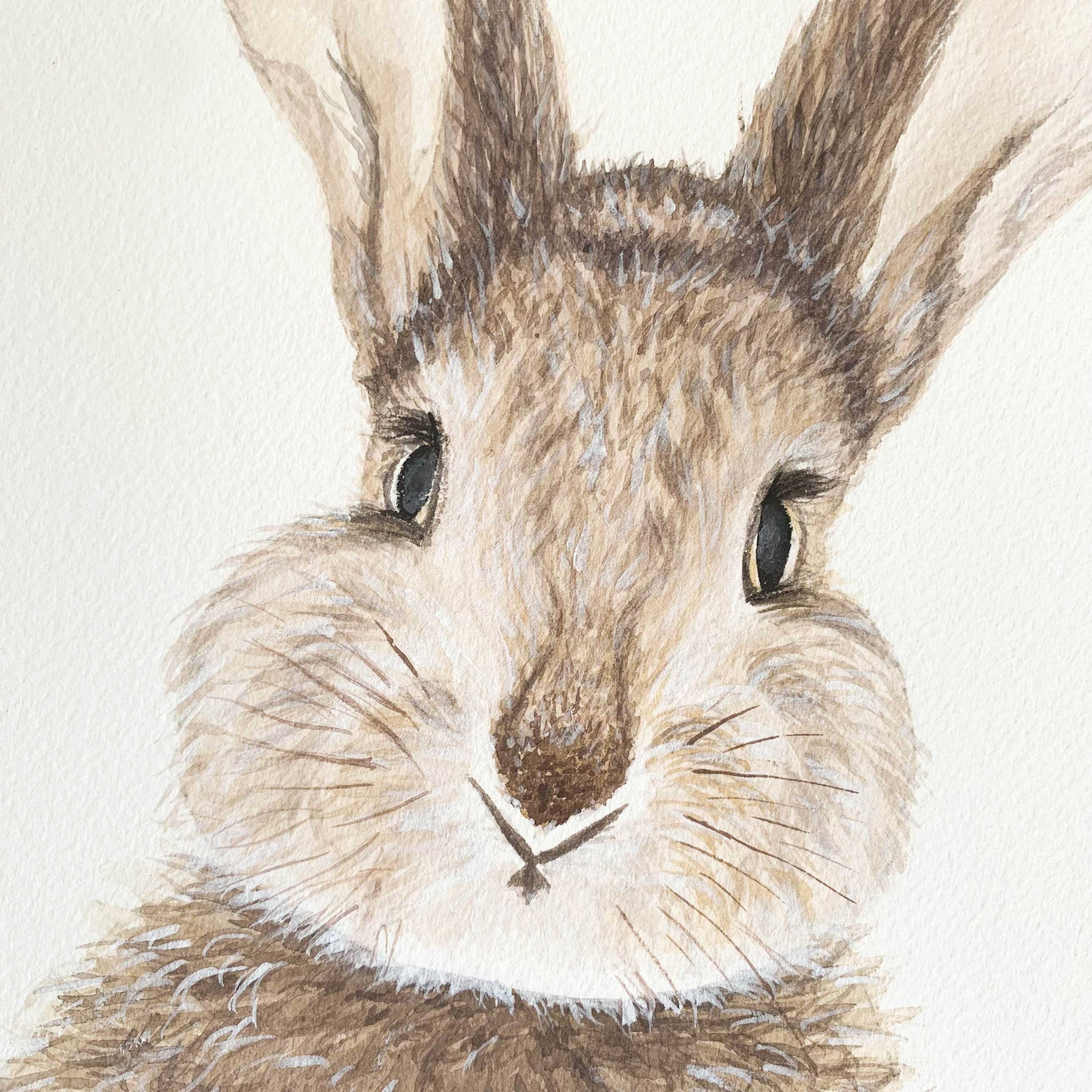Baby Bunny Original Watercolor Painting
