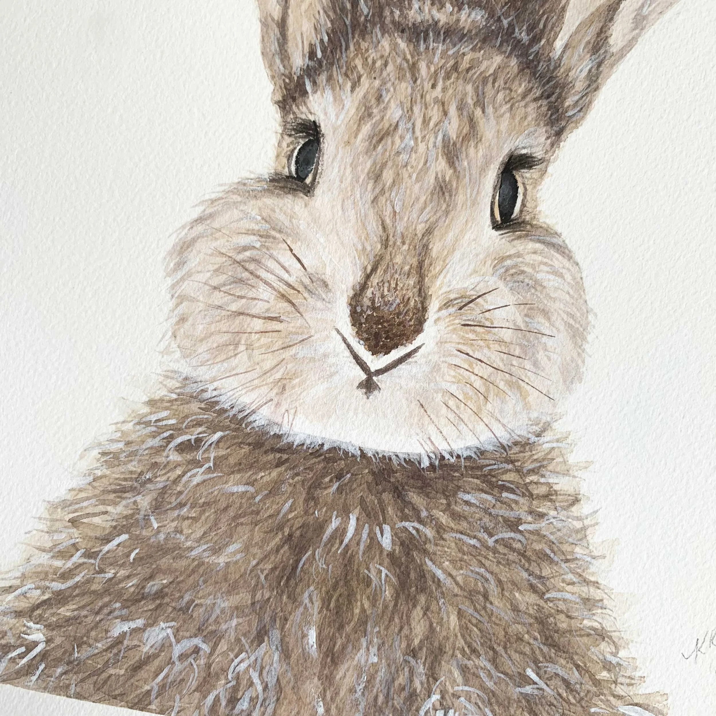 Baby Bunny Original Watercolor Painting