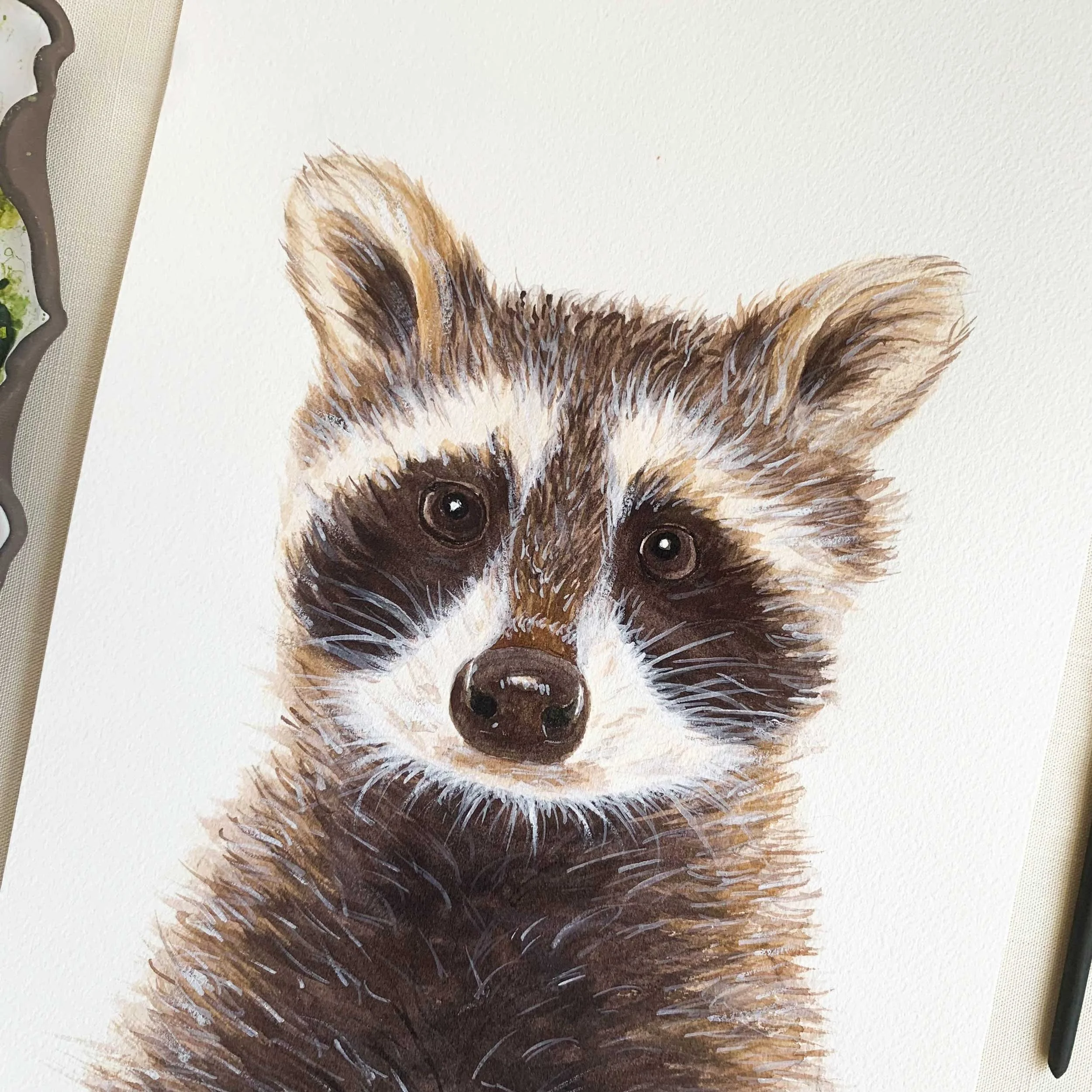 Baby Raccoon Original Watercolor Painting
